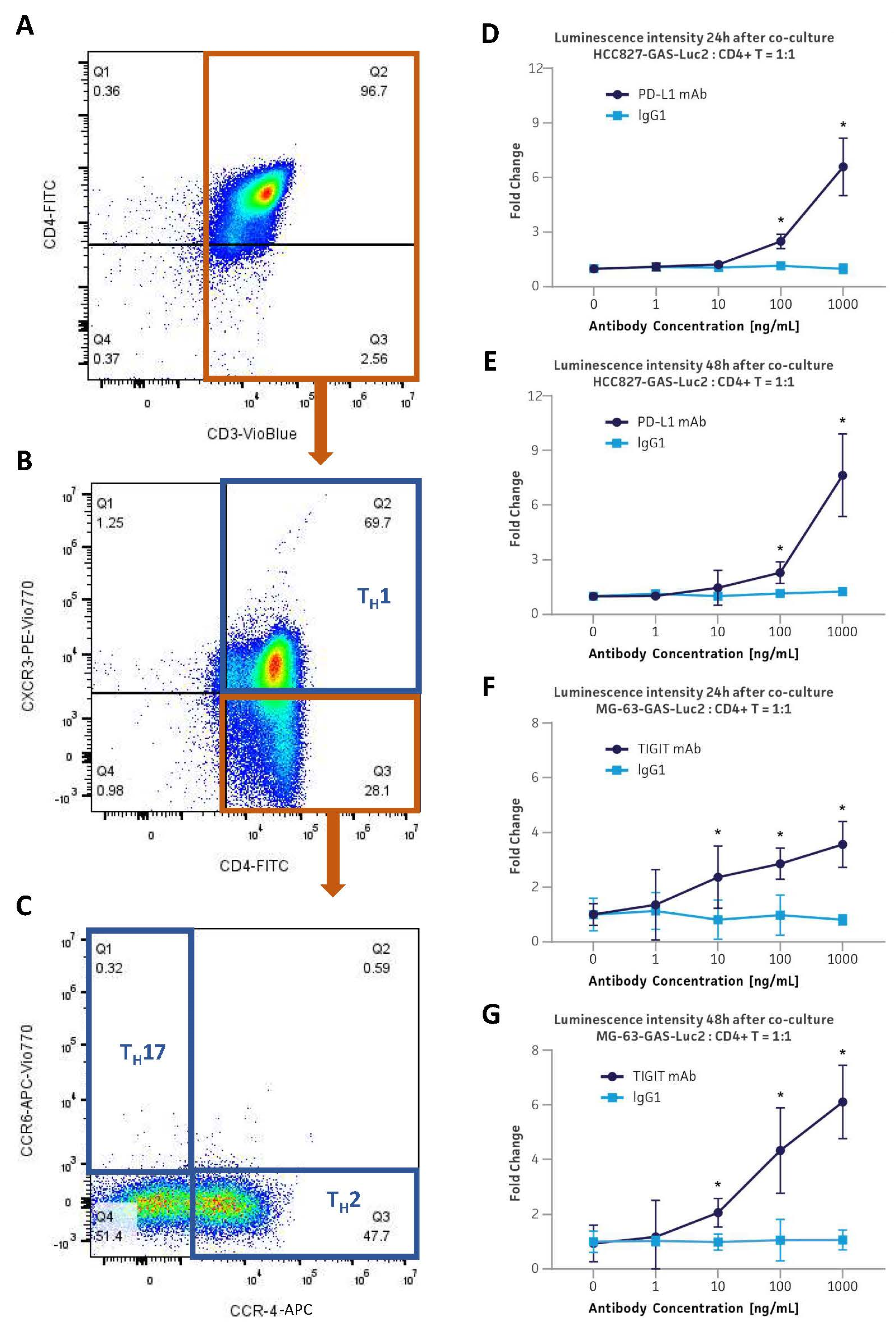 Cancers 16 01965 g004