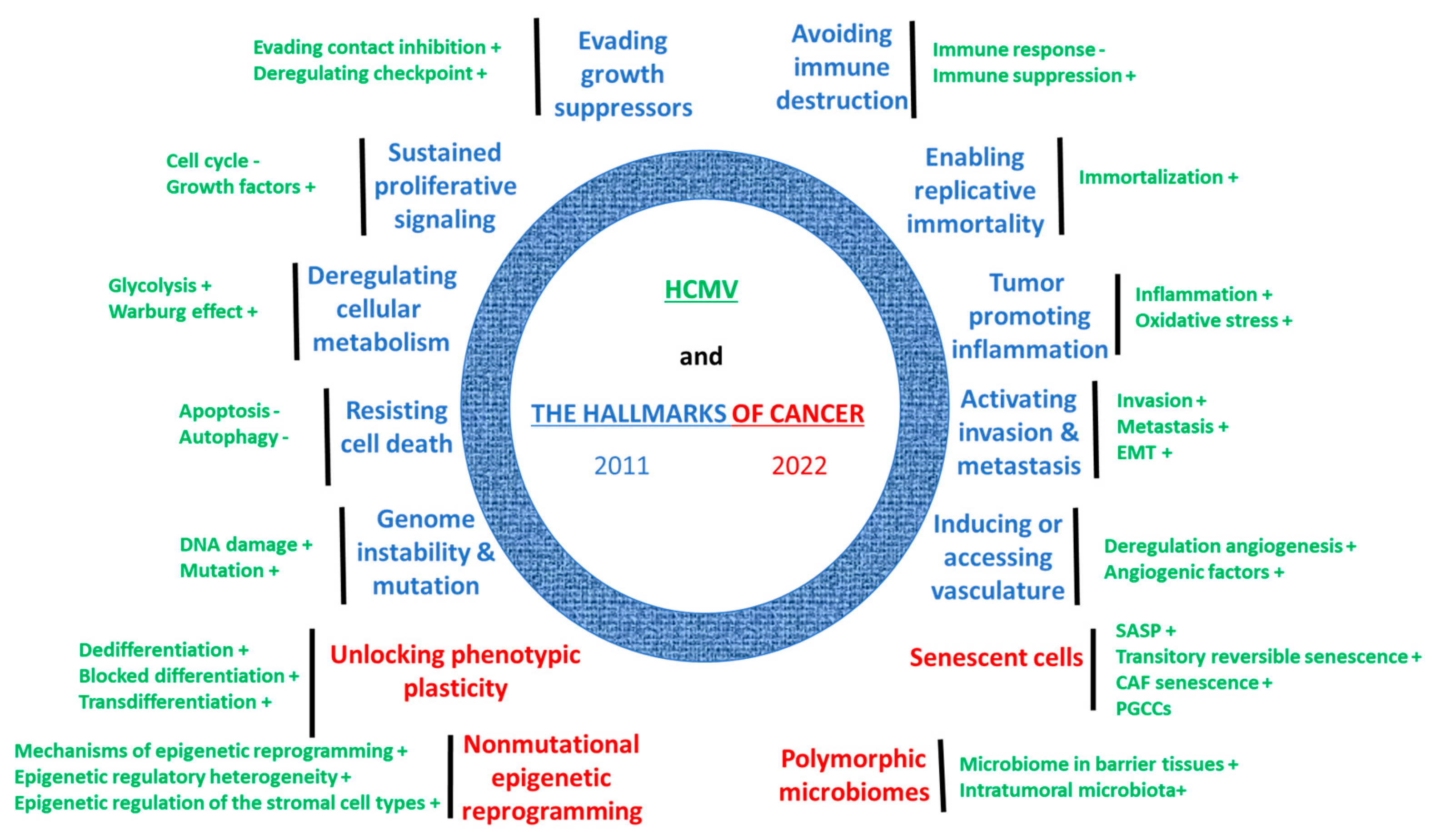 Cancers 16 01970 g001