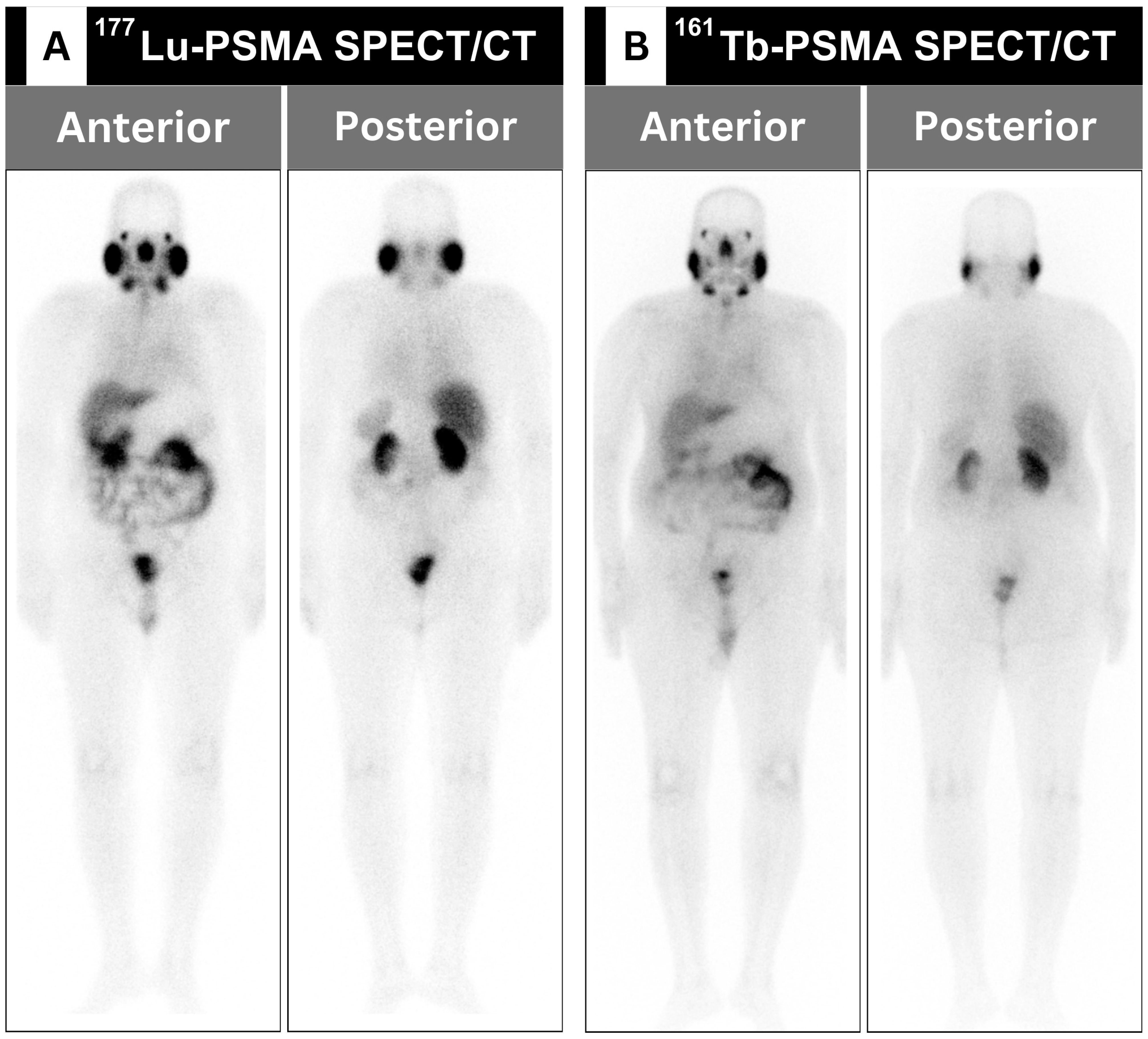 Cancers 16 01974 g001