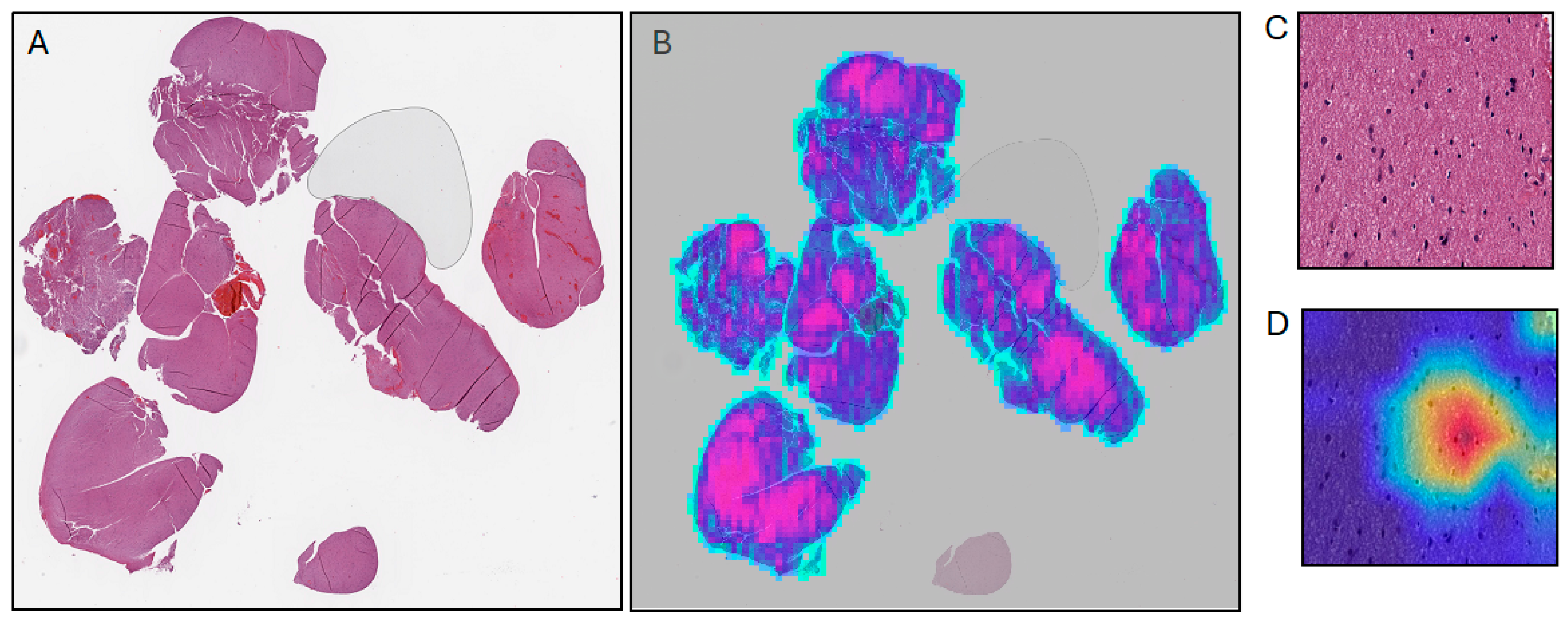 Cancers 16 01976 g002