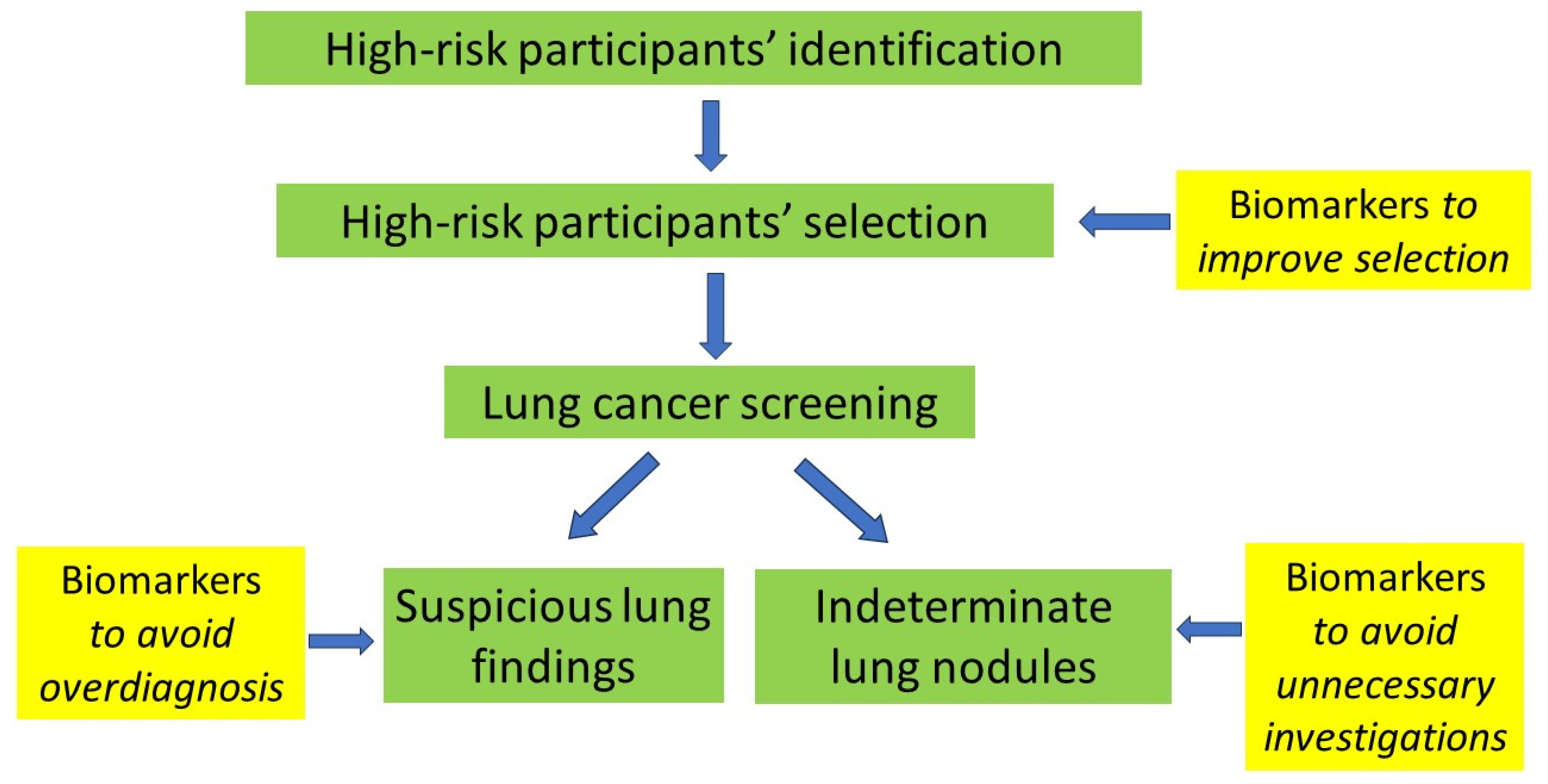 Cancers 16 01980 g001