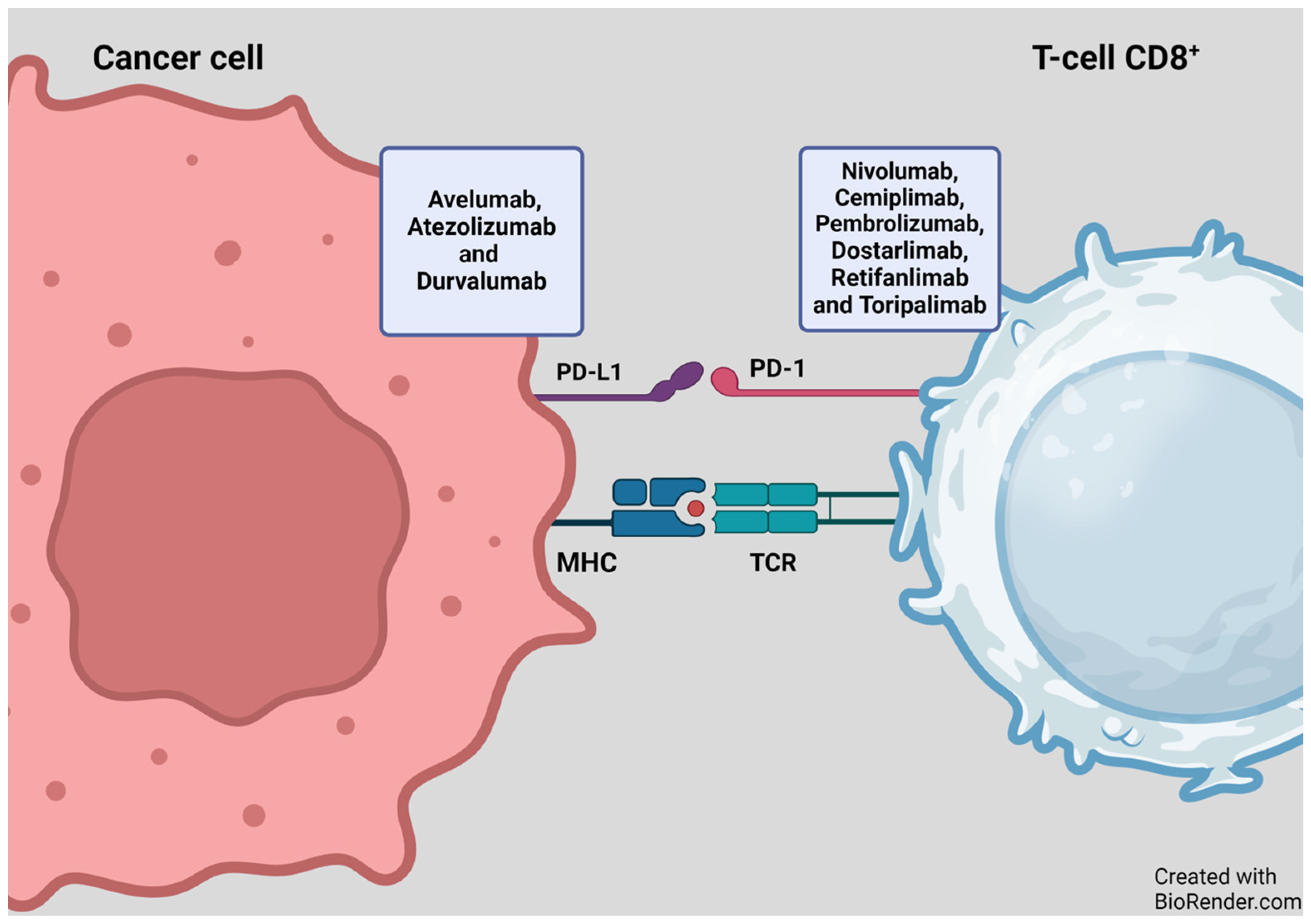 Cancers 16 01990 g003
