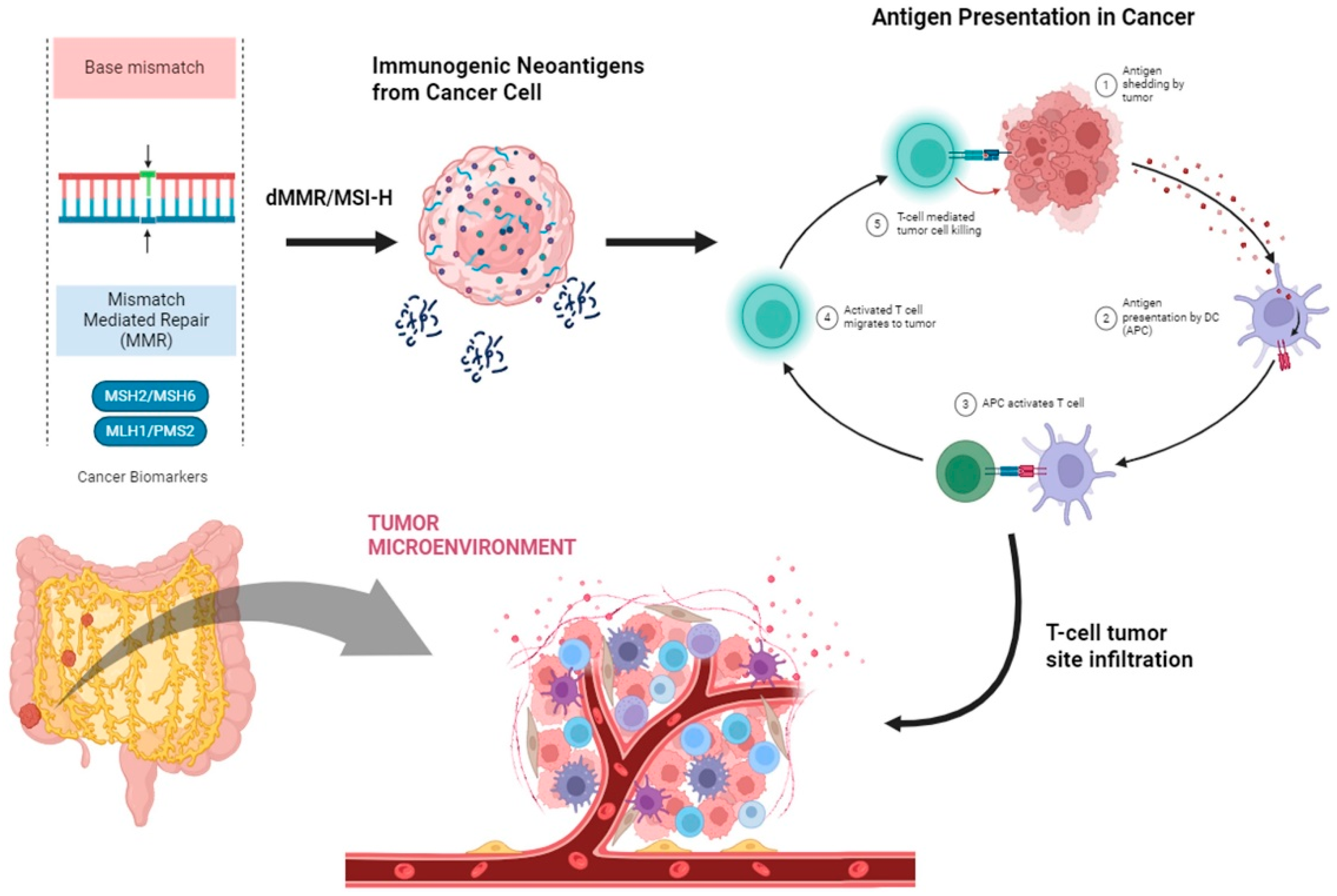 Cancers 16 01995 g001