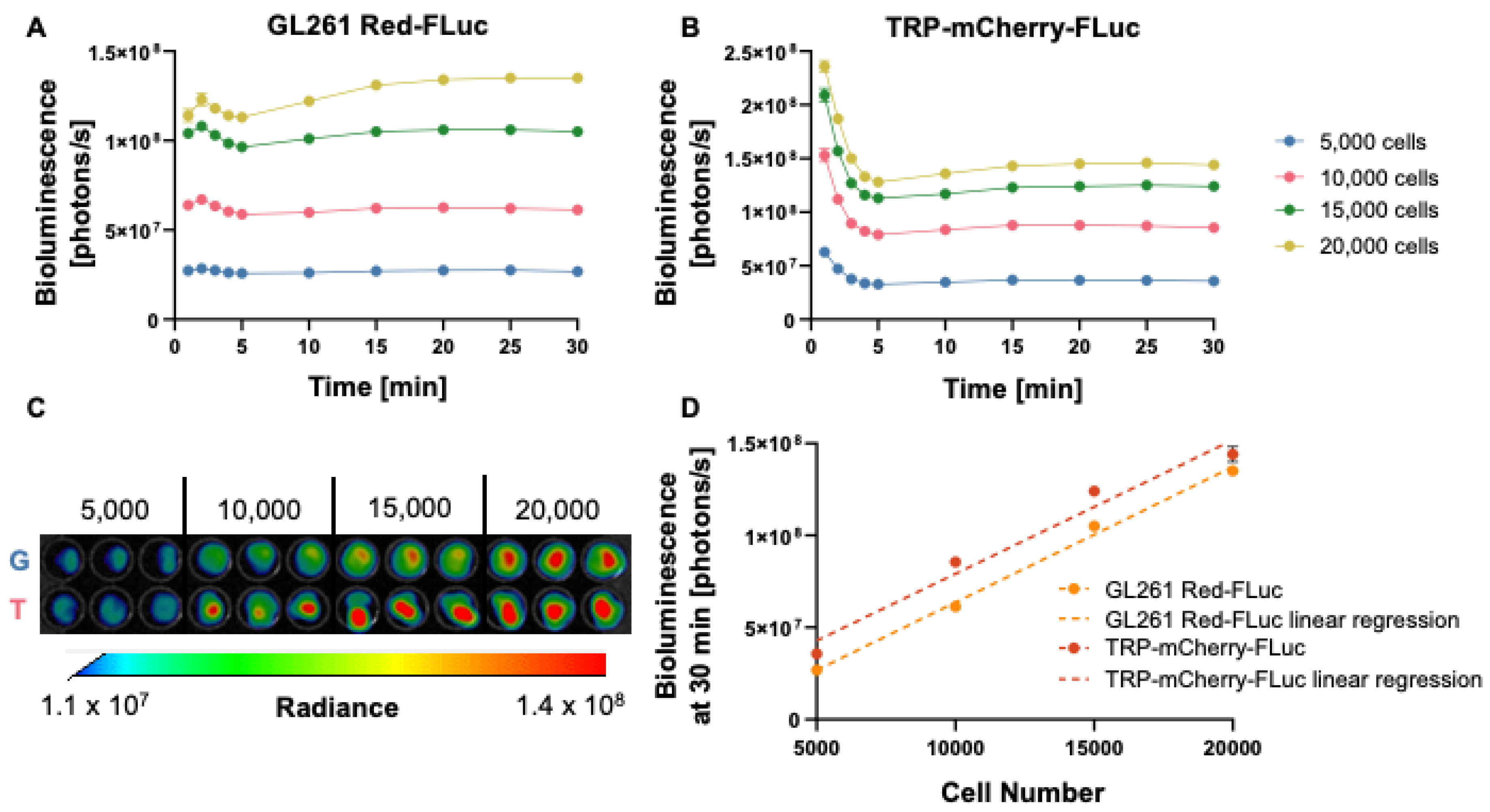Cancers 16 01997 g001