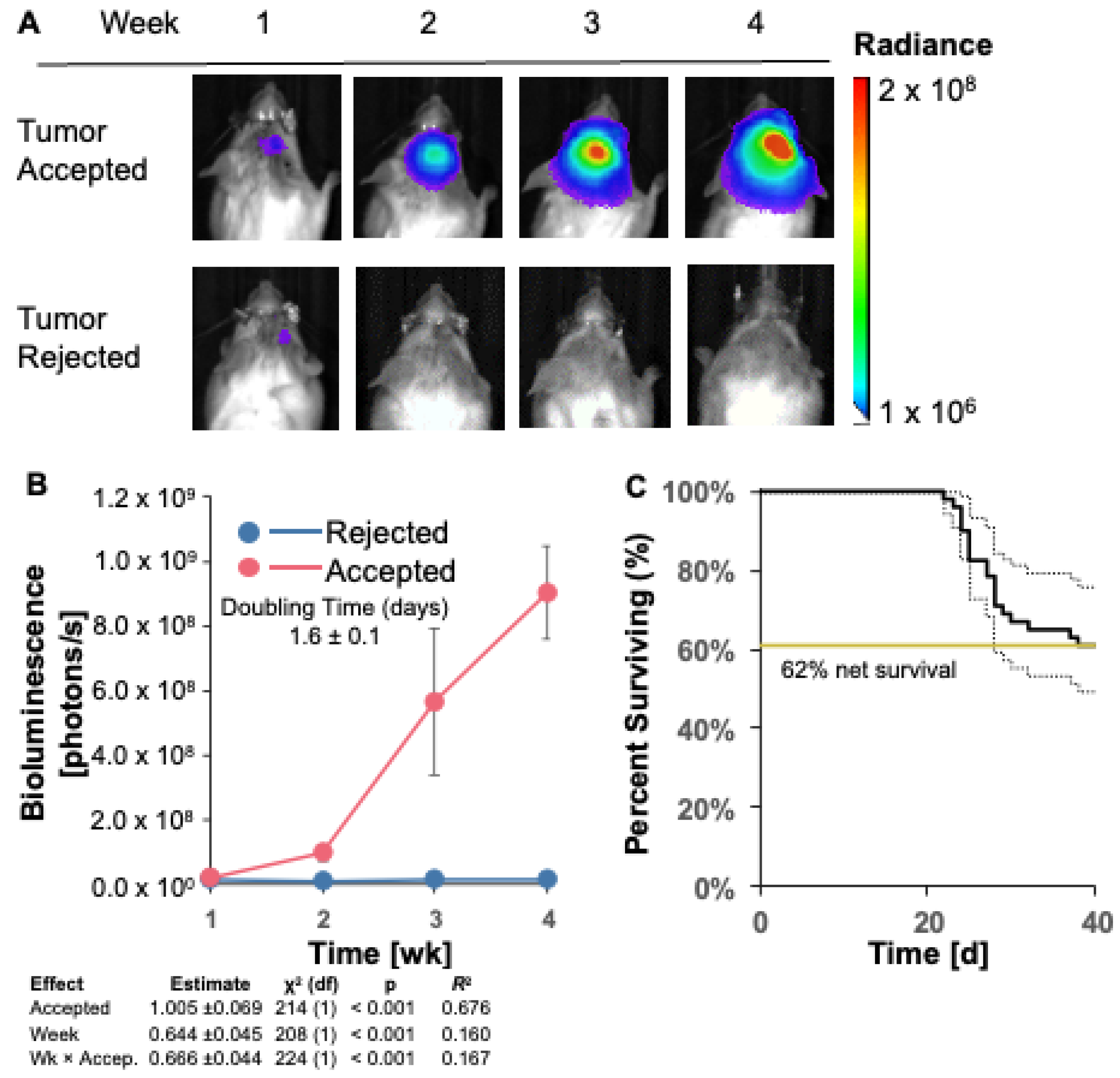 Cancers 16 01997 g002