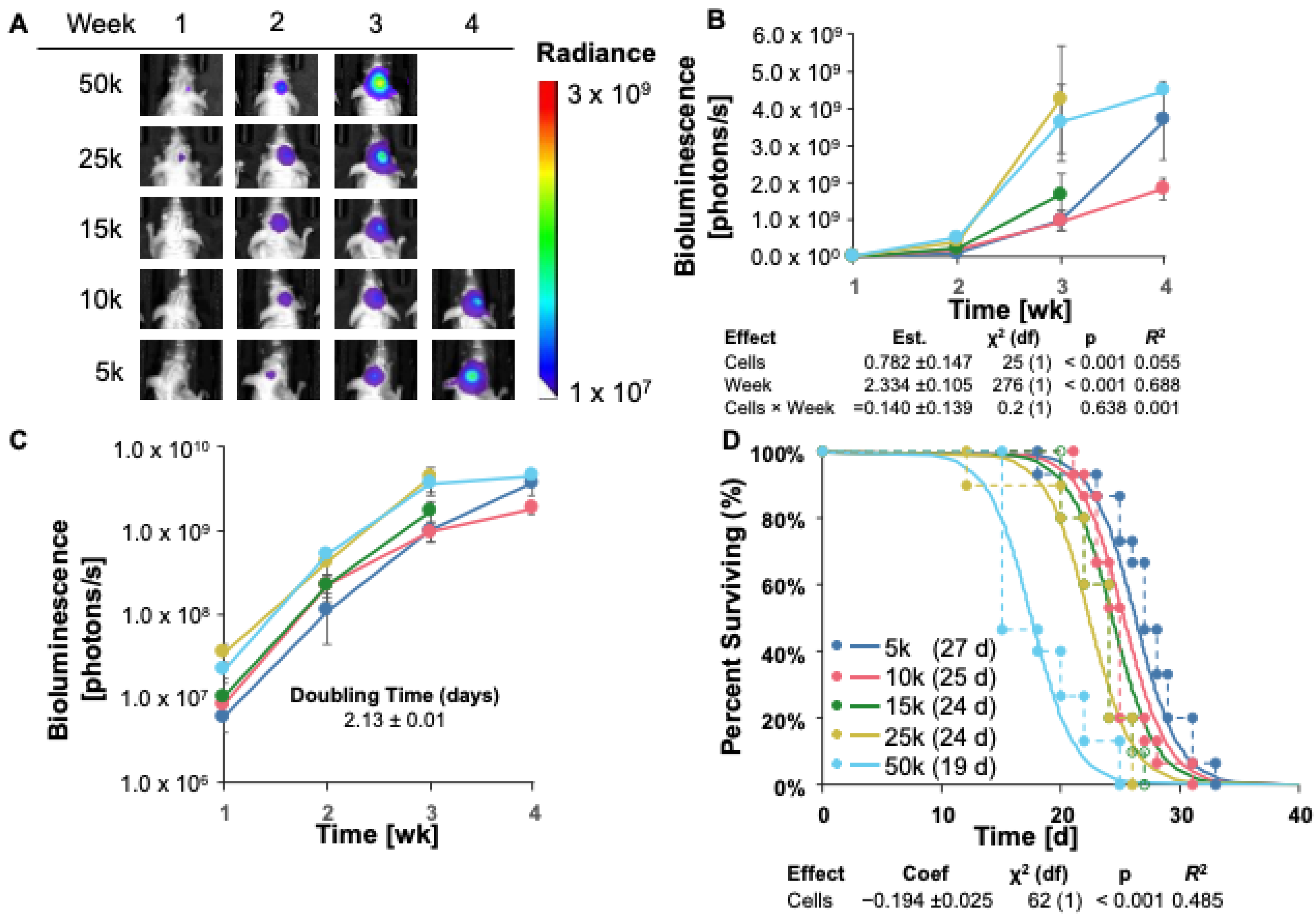 Cancers 16 01997 g003