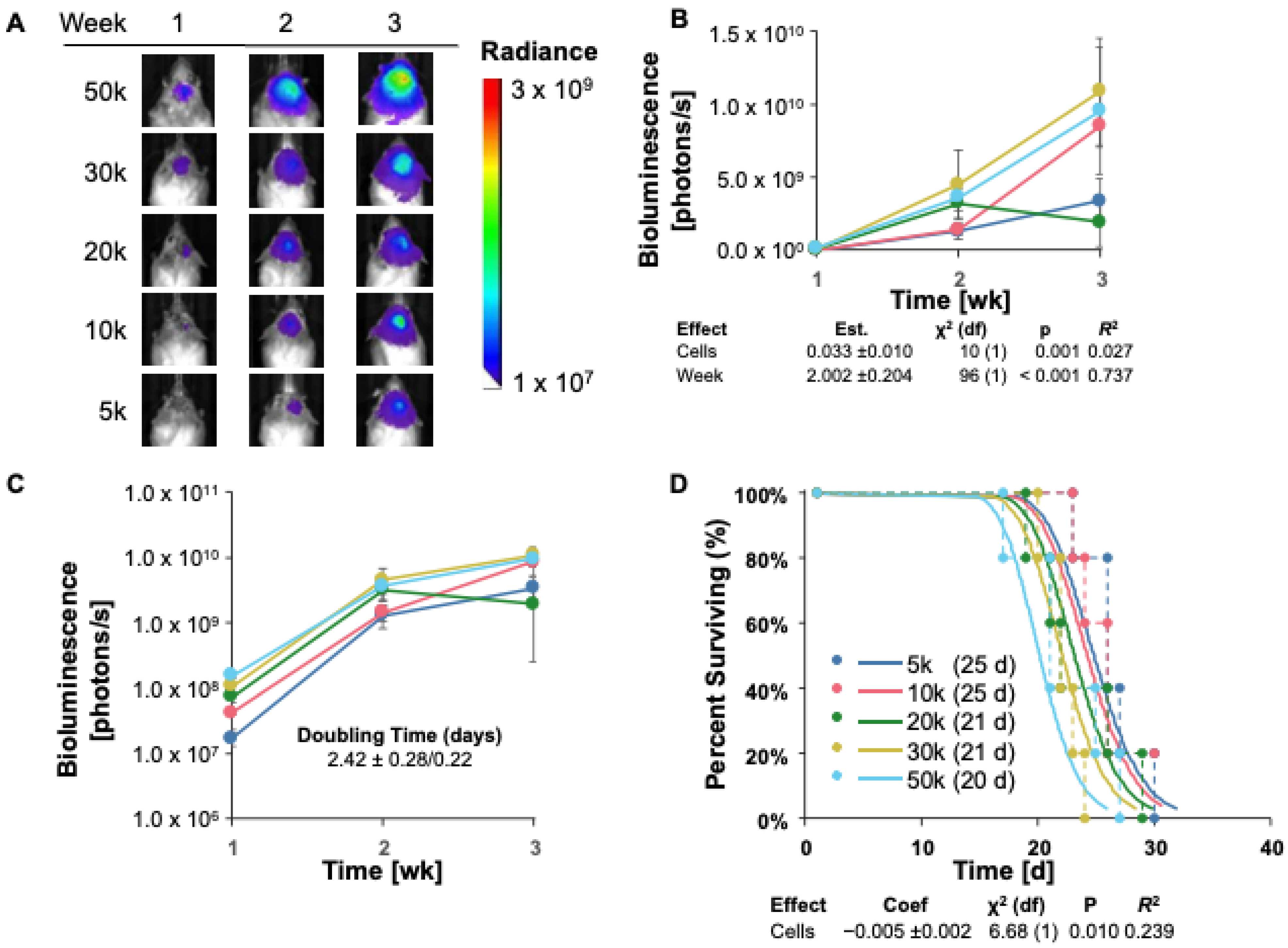 Cancers 16 01997 g004