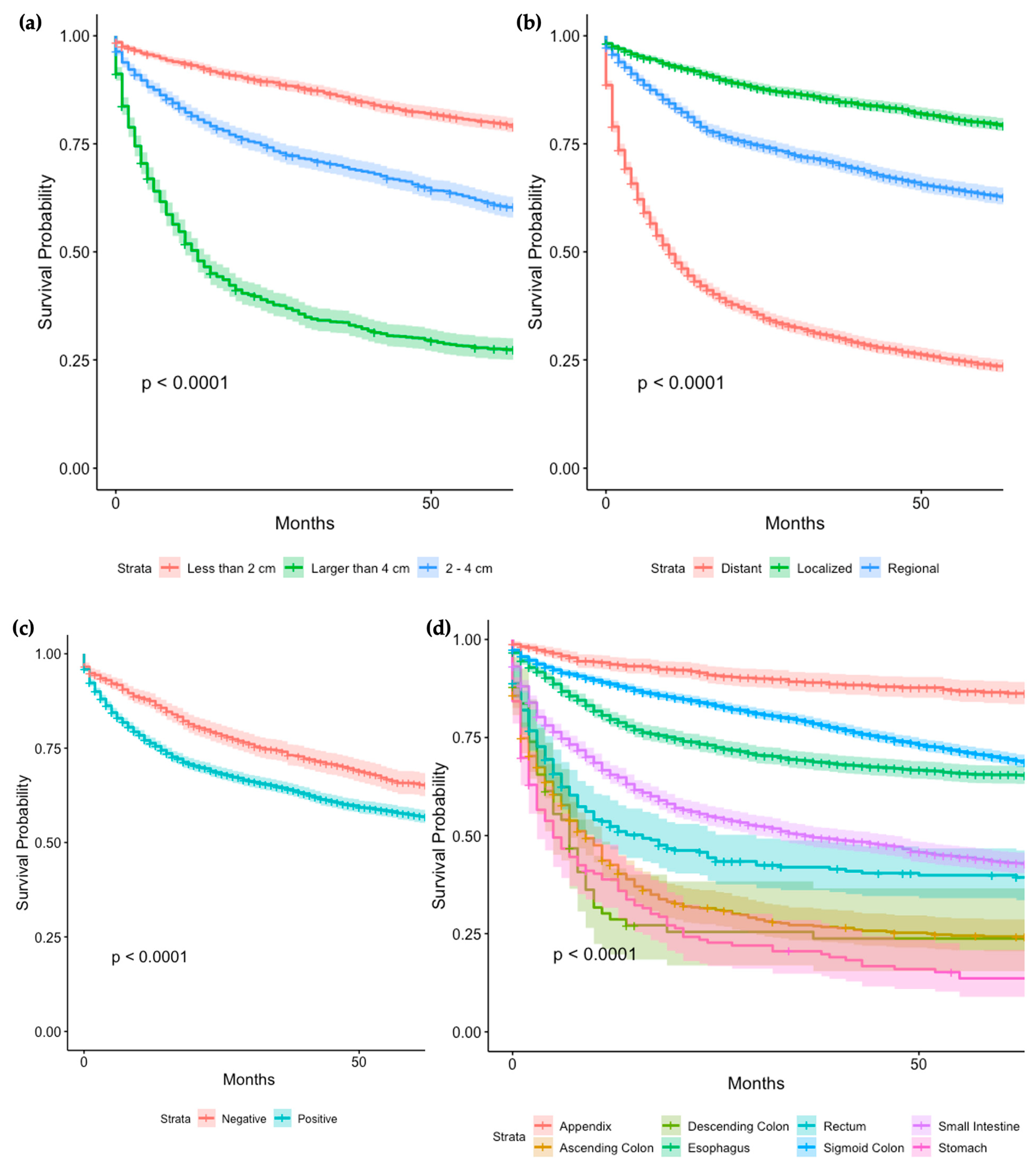 Cancers 16 01998 g005