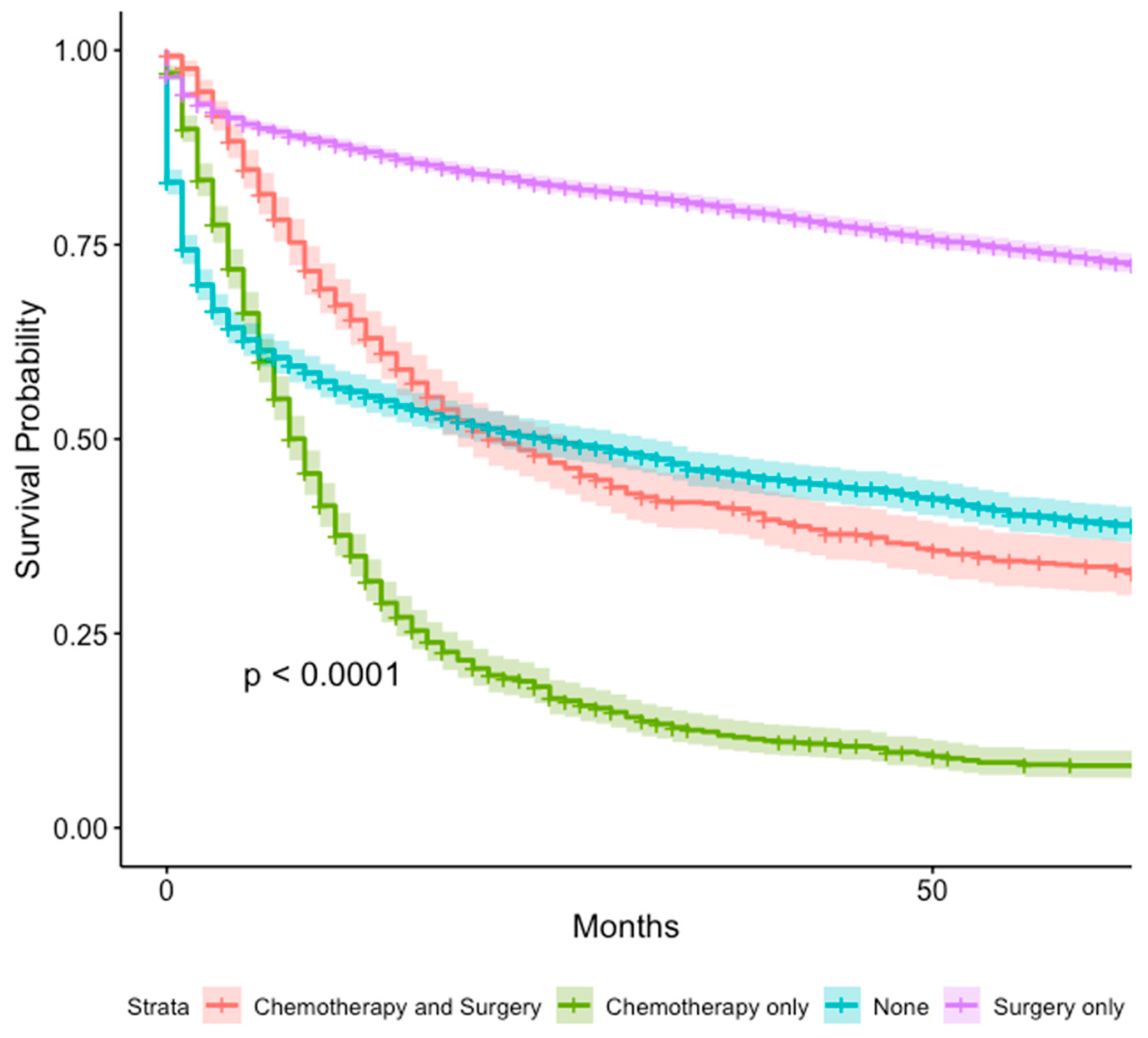 Cancers 16 01998 g006