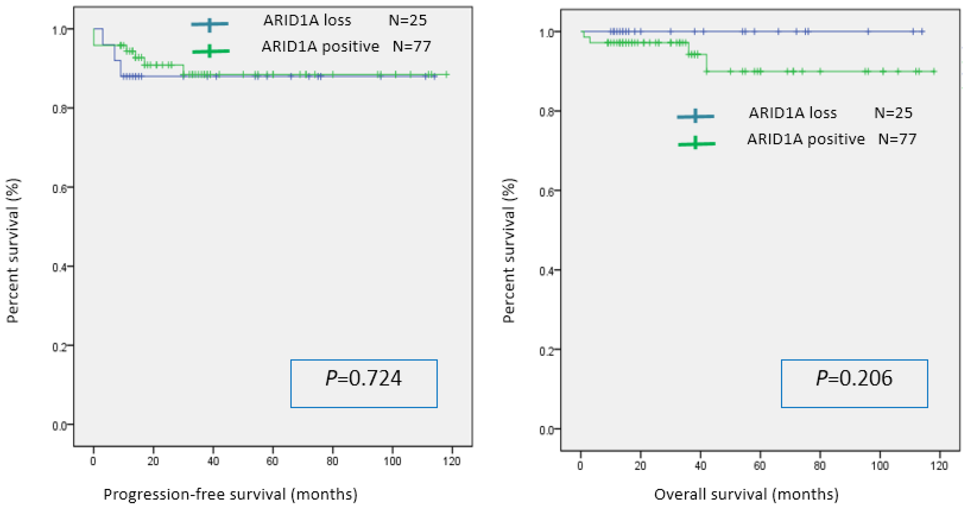 Cancers 16 01999 g002