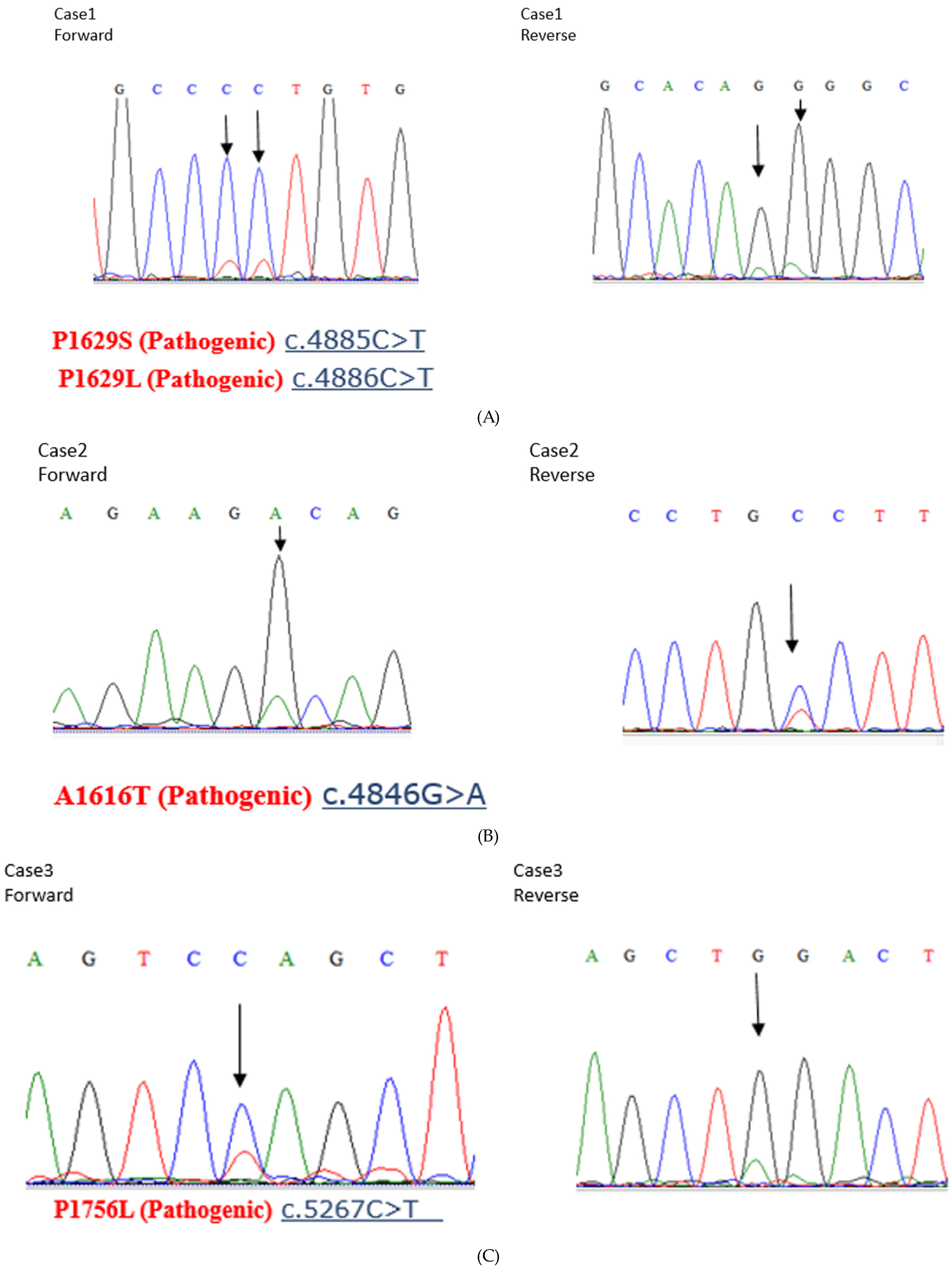 Cancers 16 01999 g004a