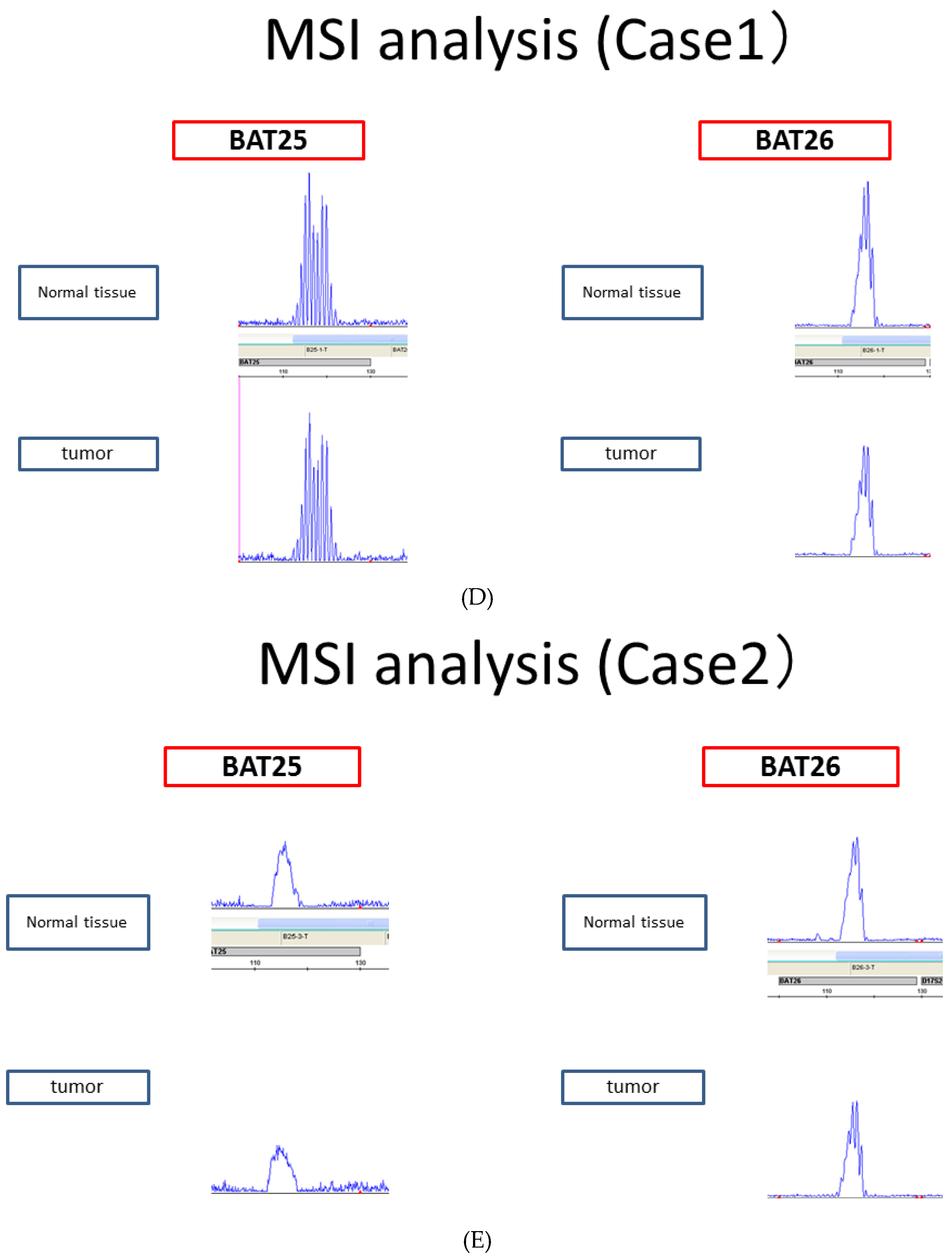 Cancers 16 01999 g004b