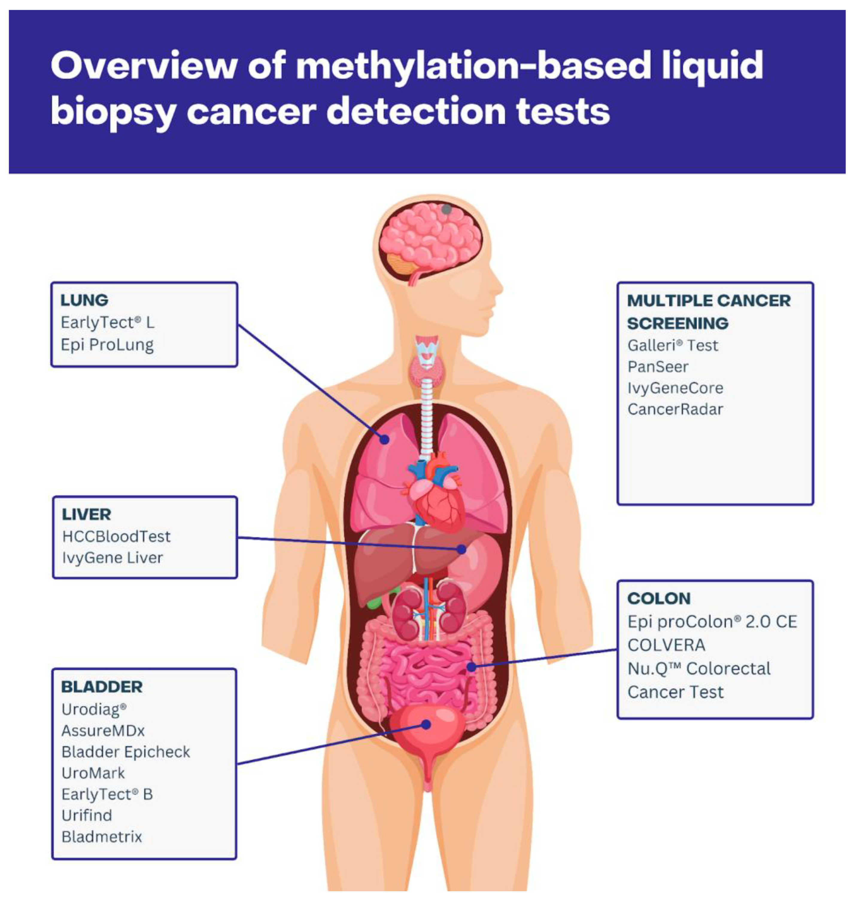 Cancers 16 02001 g001 Cancers 16 02001 g001