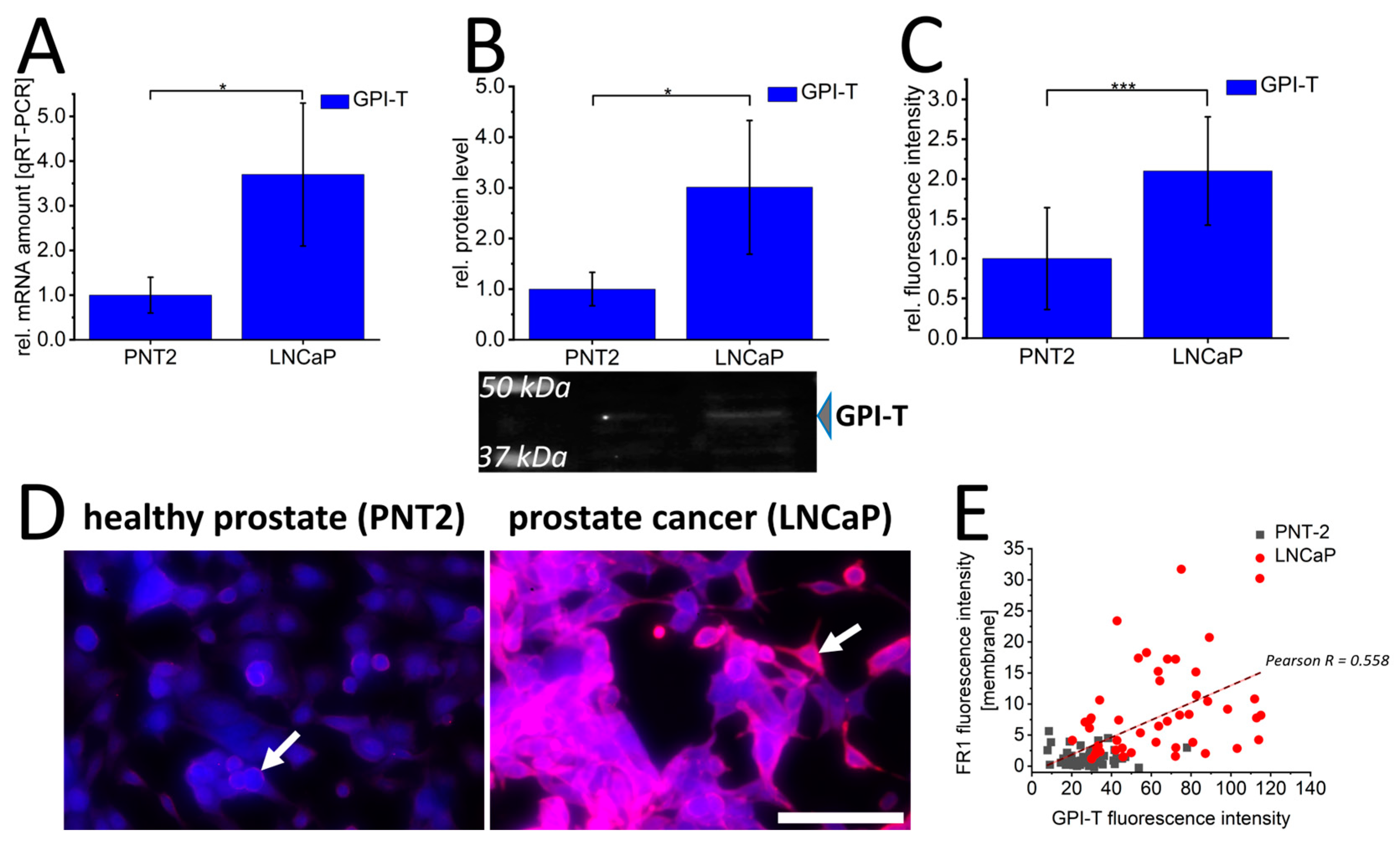 Cancers 16 02008 g002