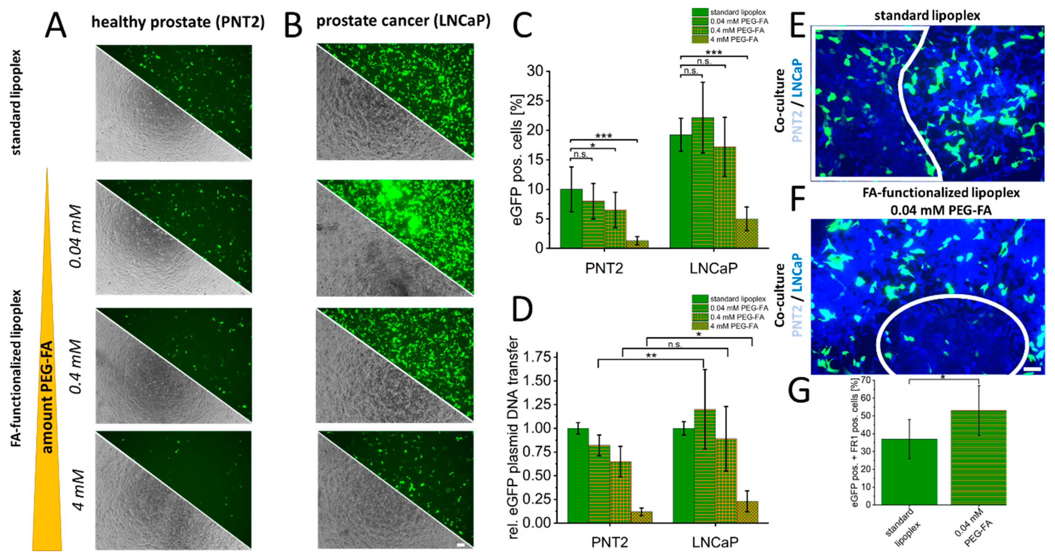Cancers 16 02008 g003