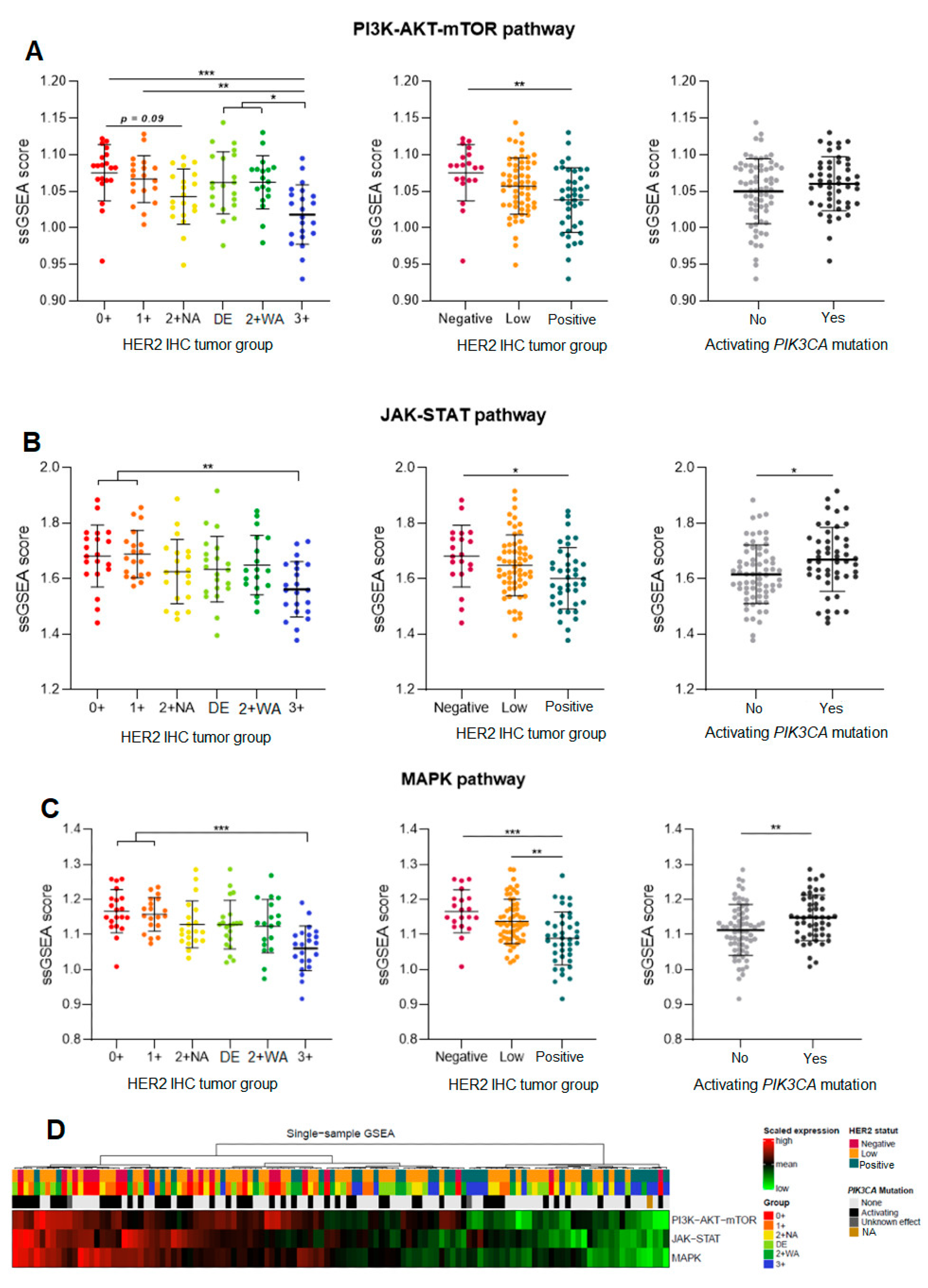 Cancers 16 02009 g003