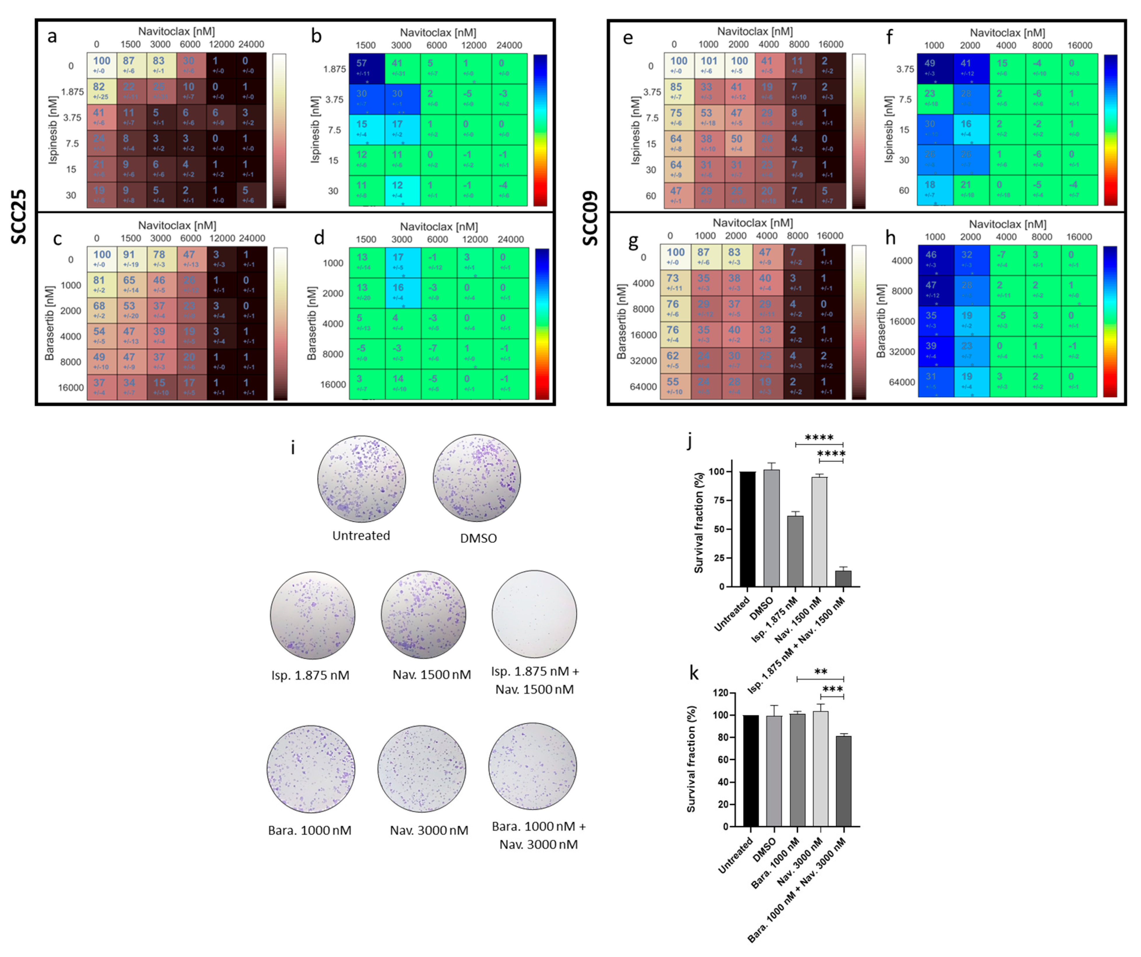Cancers 16 02014 g004