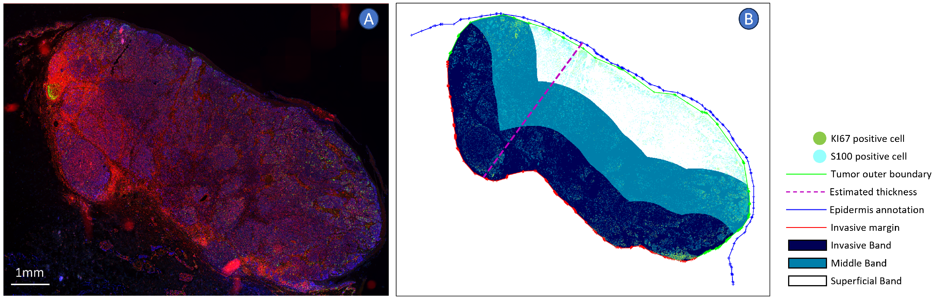 Cancers 16 02026 g005 Cancers 16 02026 g005