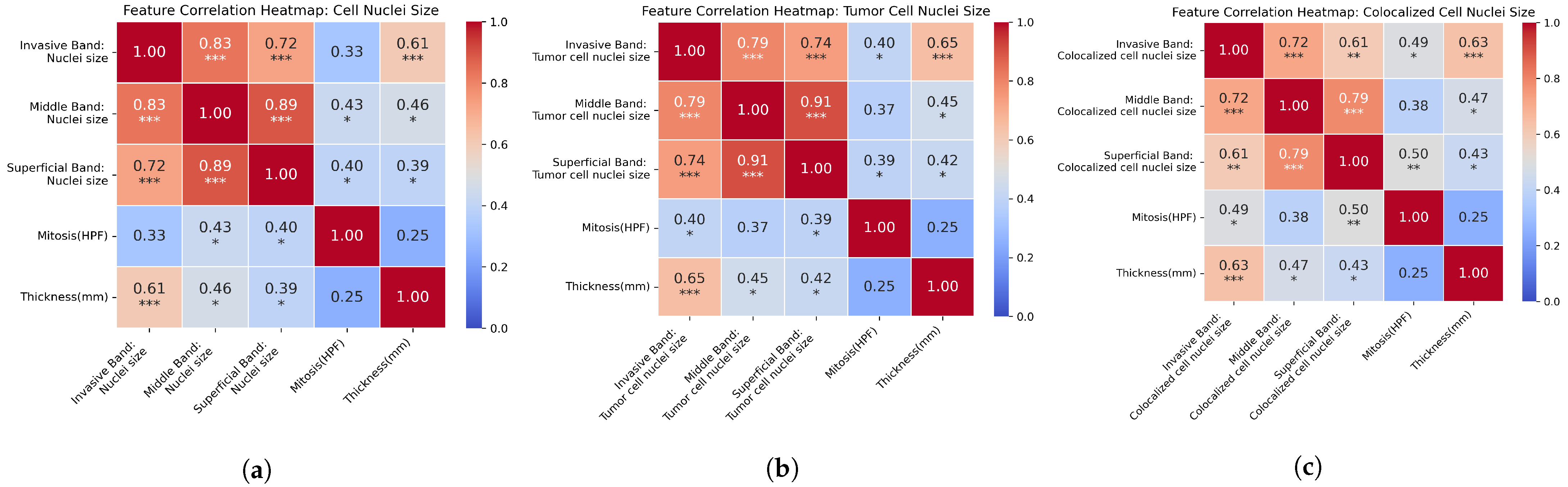 Cancers 16 02026 g008 Cancers 16 02026 g008