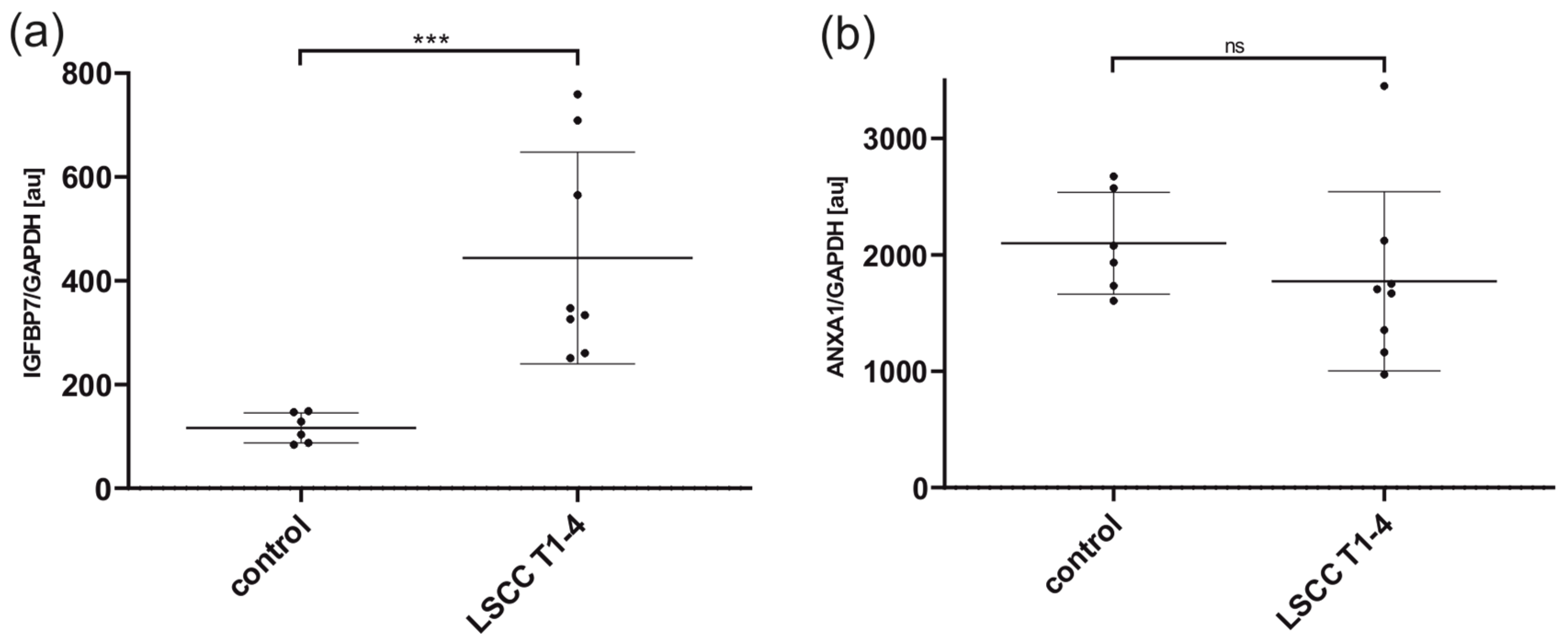 Cancers 16 02028 g005
