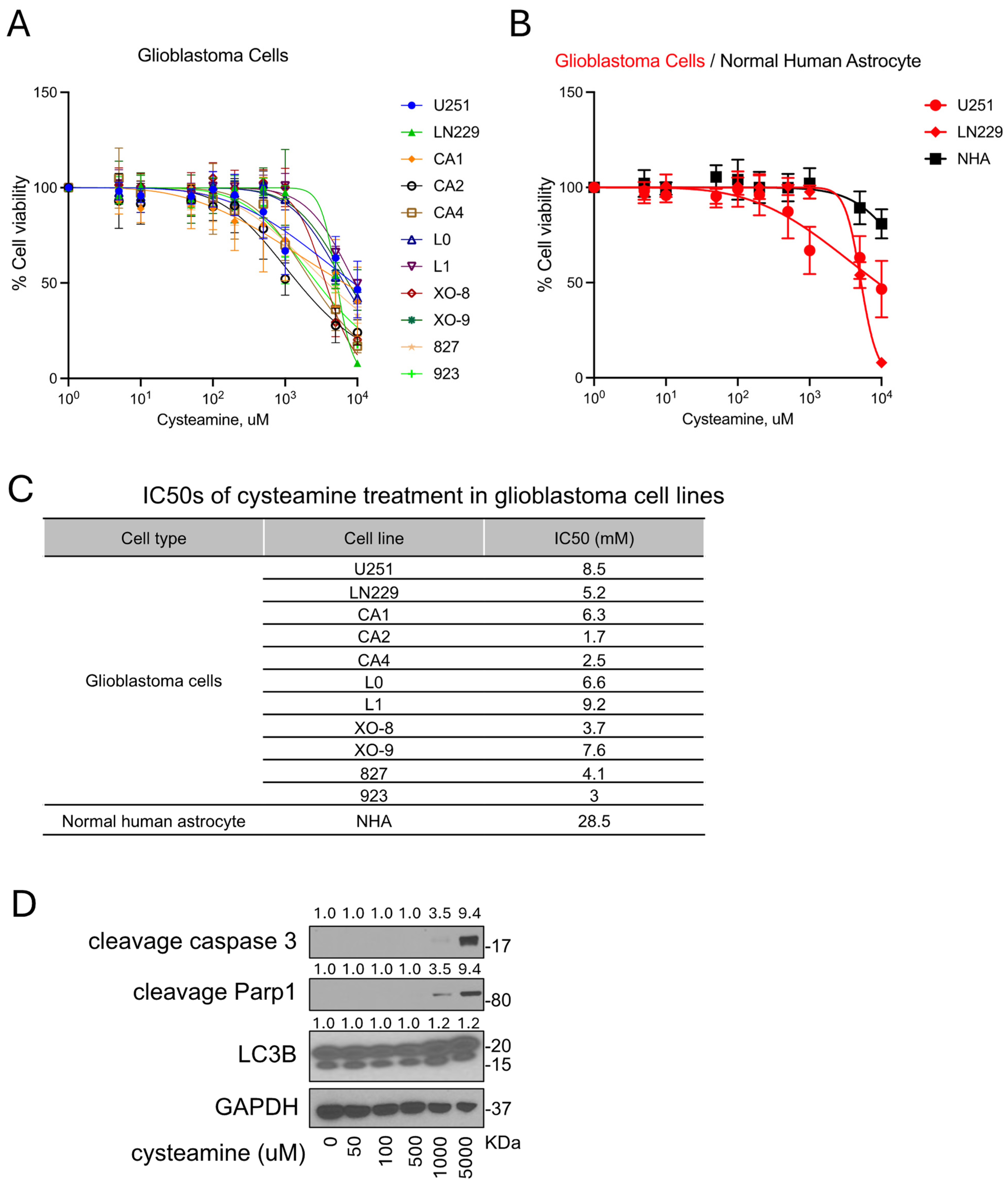 Cancers 16 02029 g002