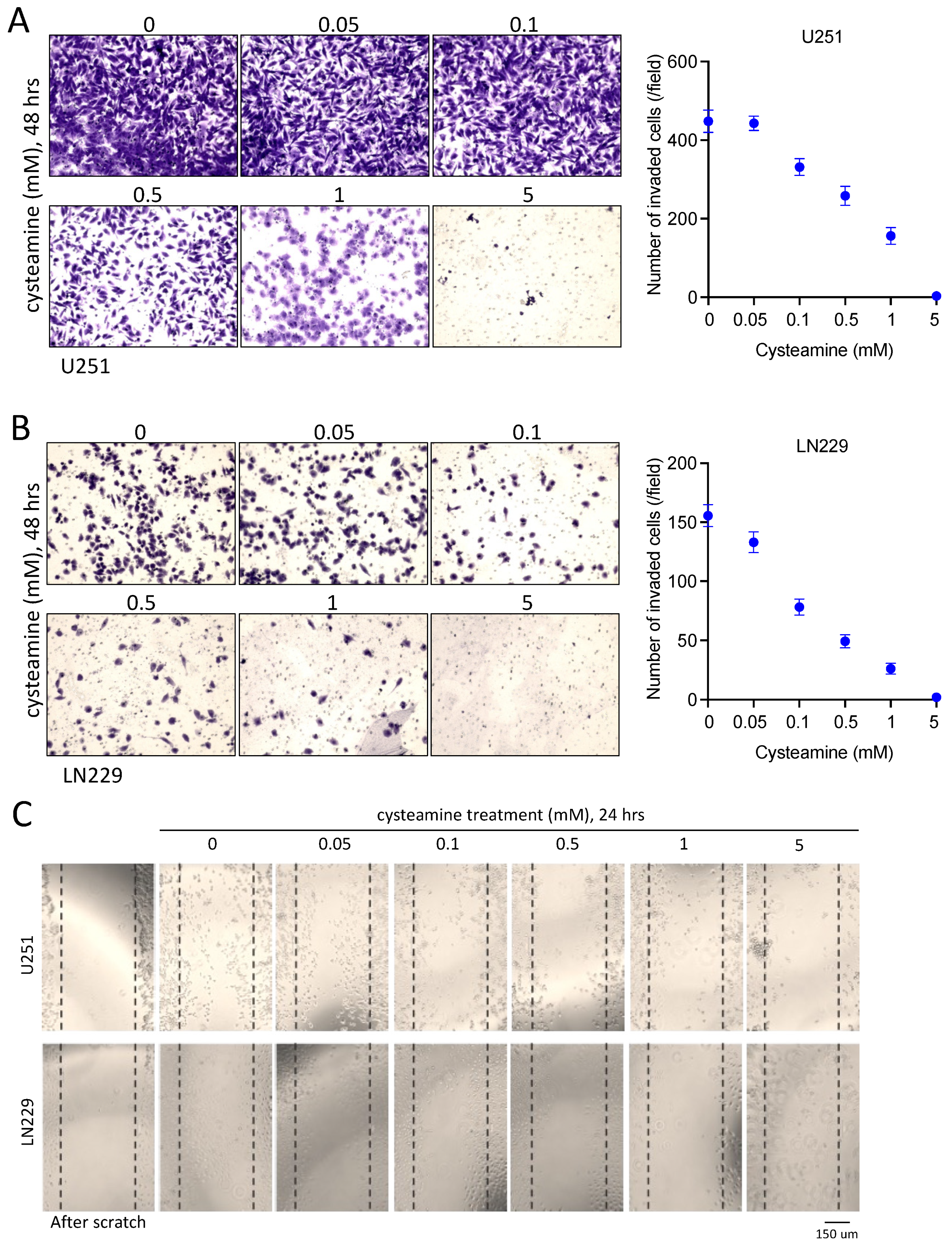 Cancers 16 02029 g004