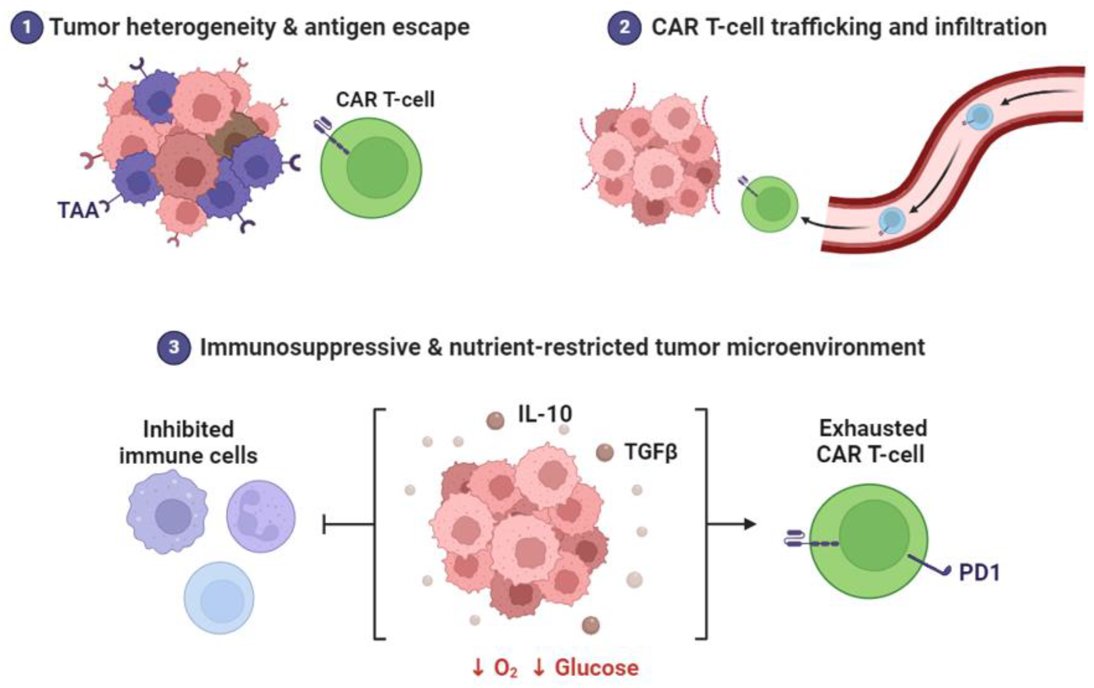 Cancers 16 02030 g002