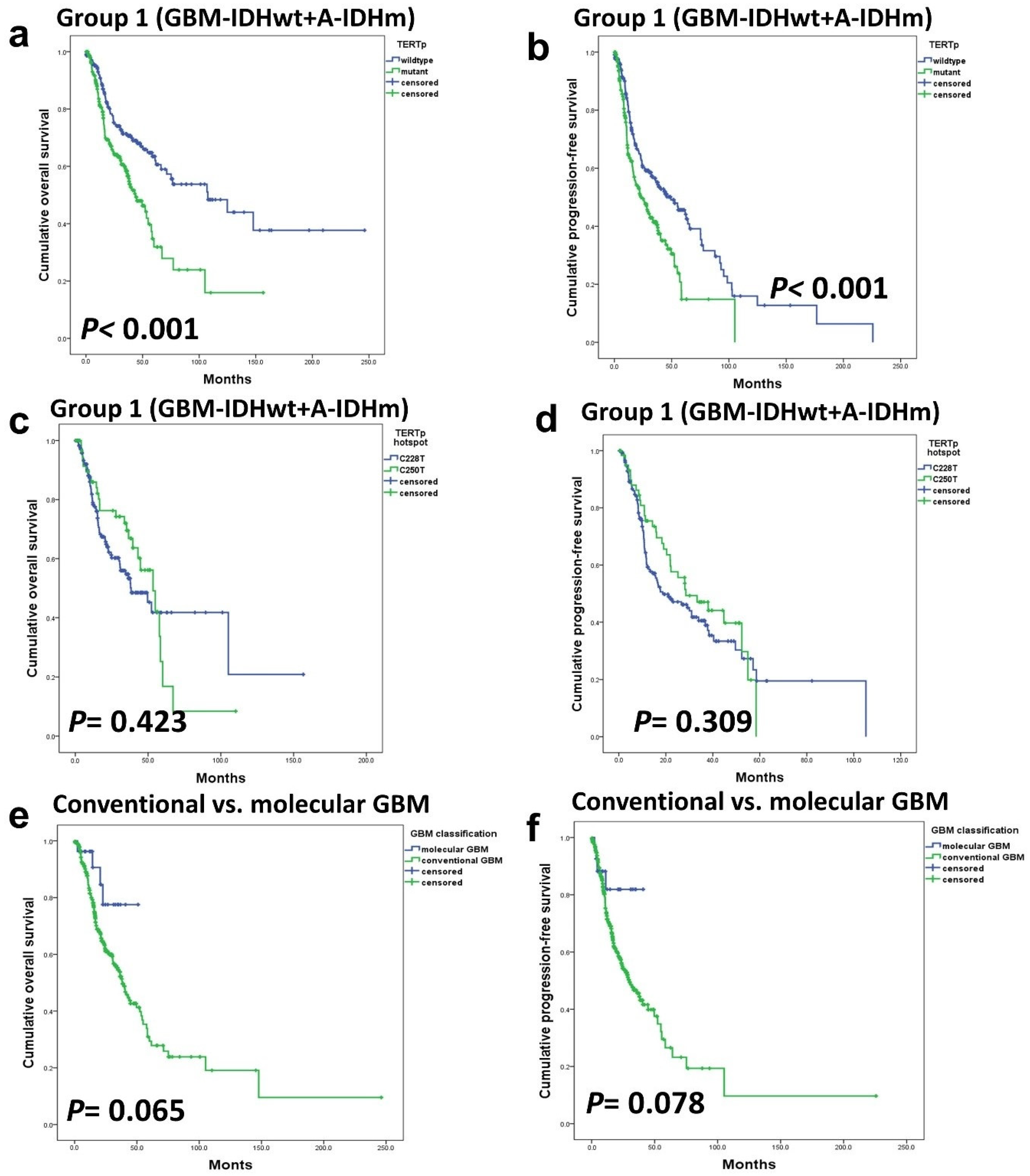 Cancers 16 02032 g002