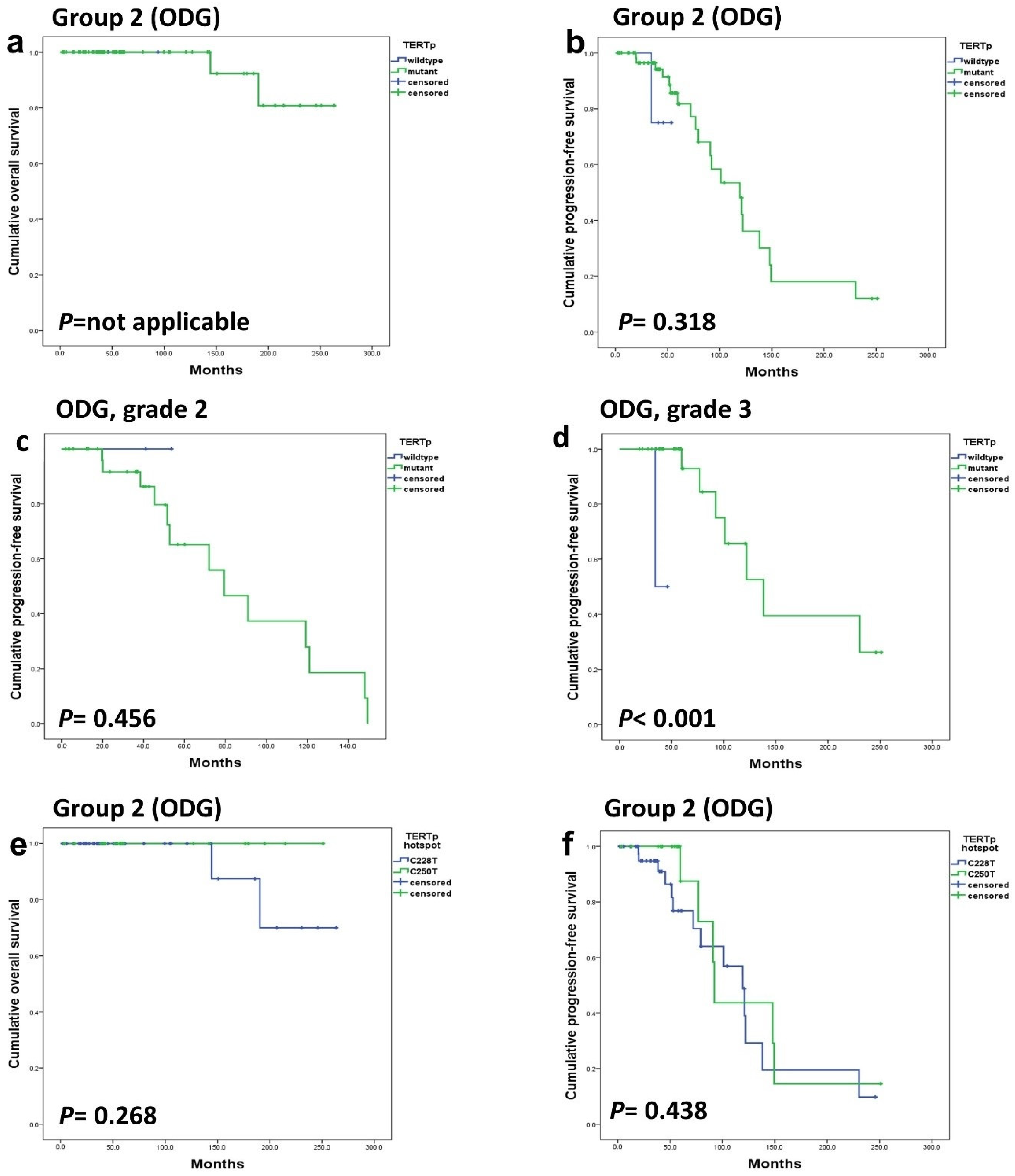 Cancers 16 02032 g003