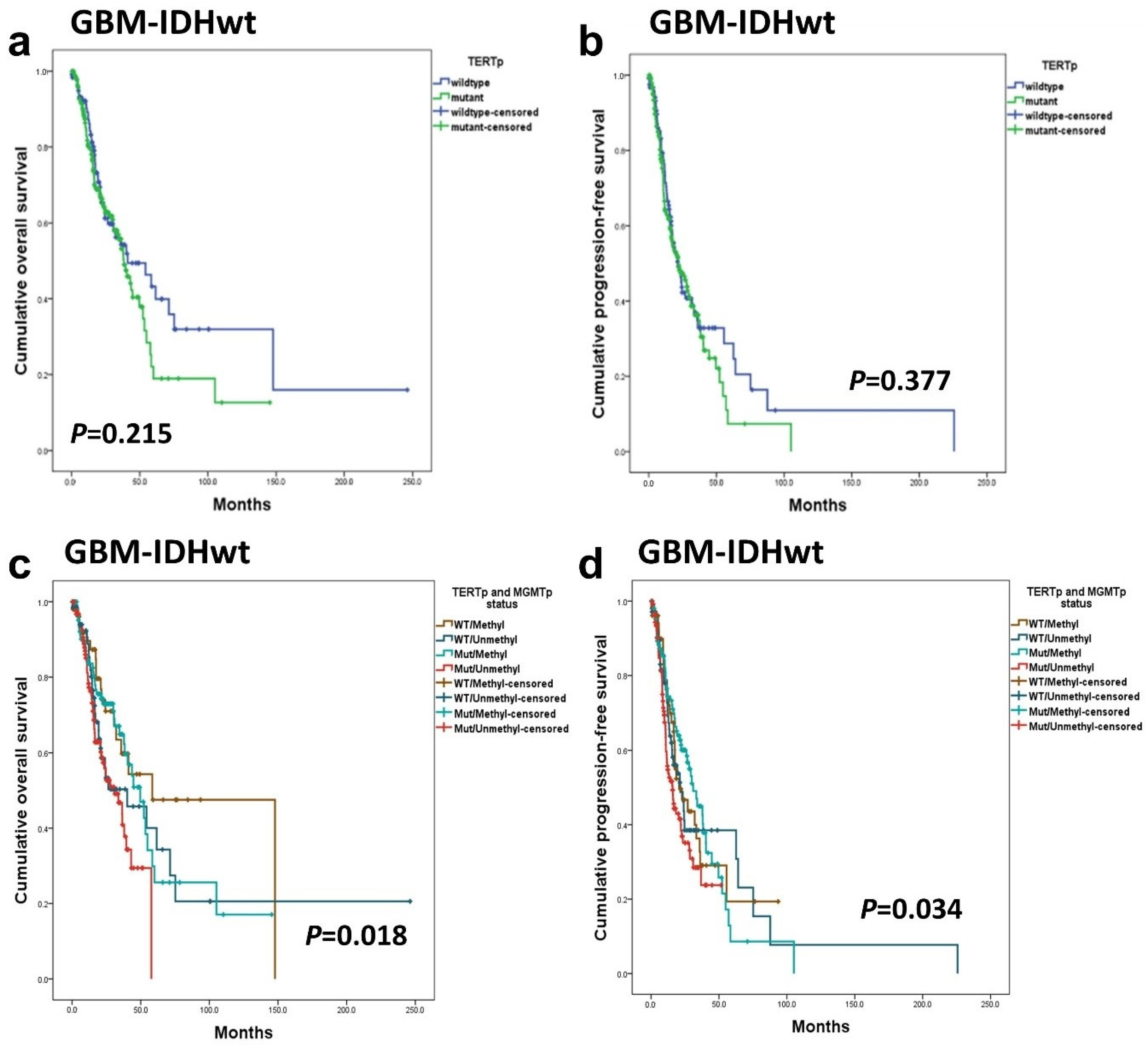 Cancers 16 02032 g004
