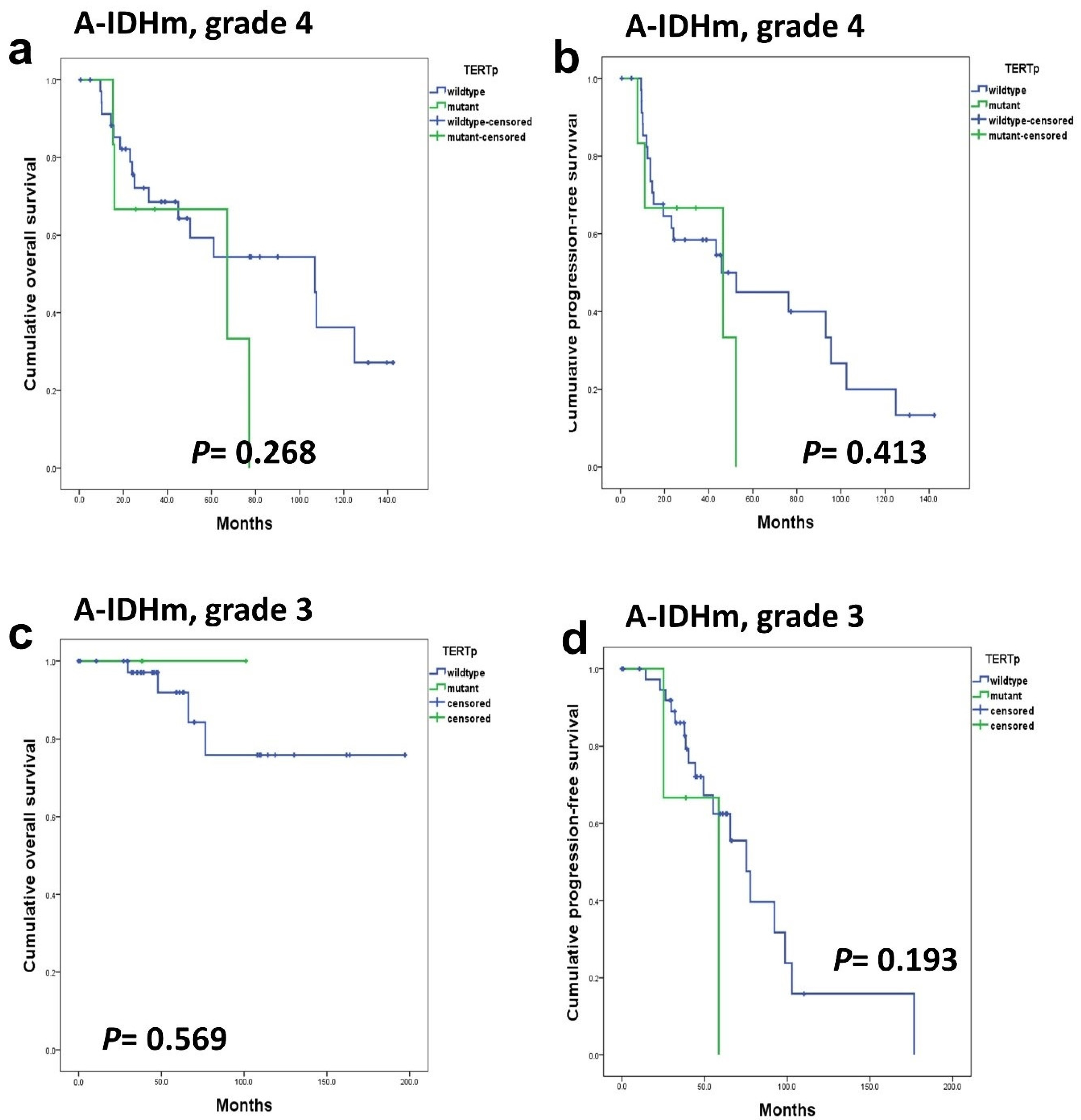 Cancers 16 02032 g005