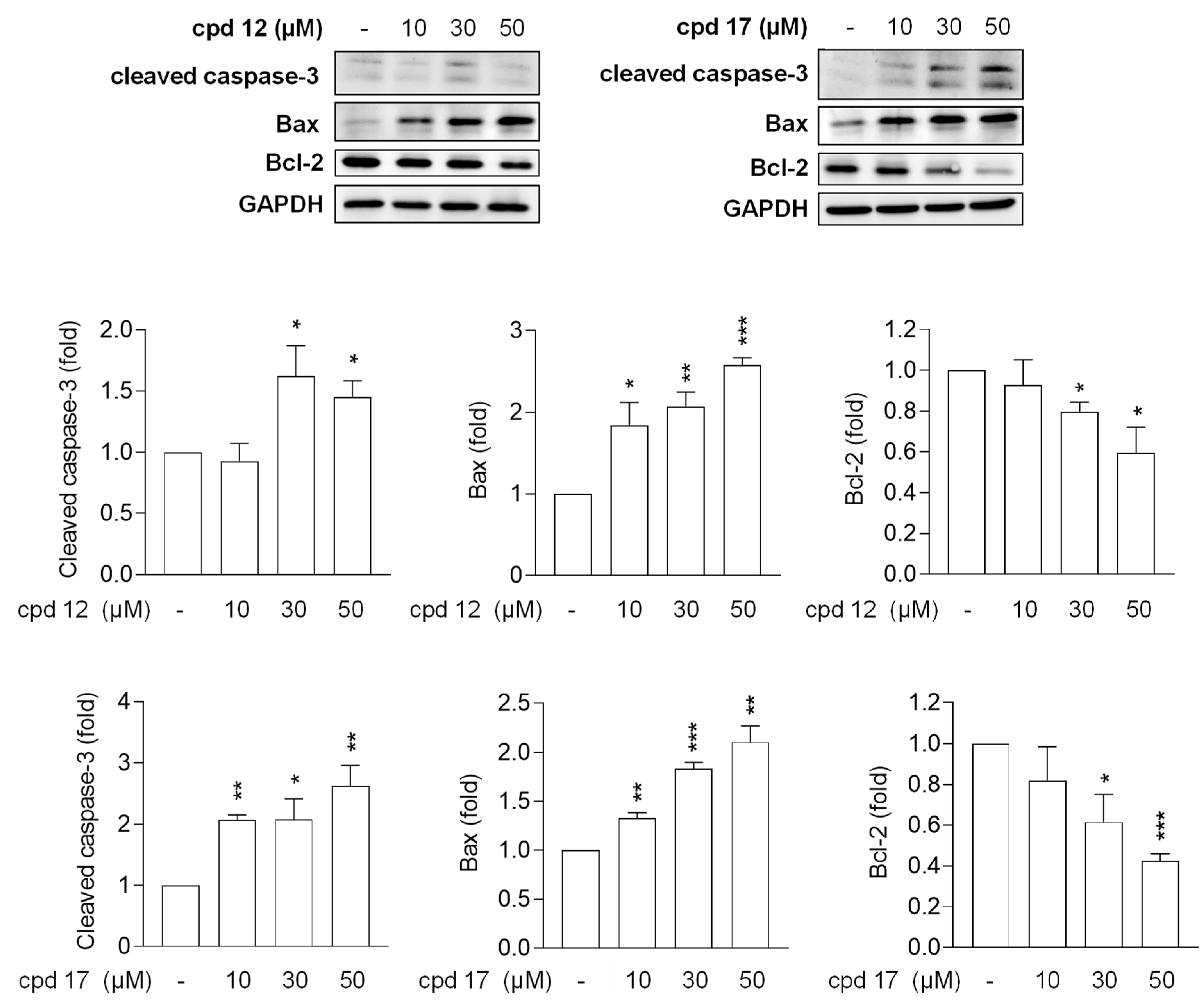 Cancers 16 02033 g004