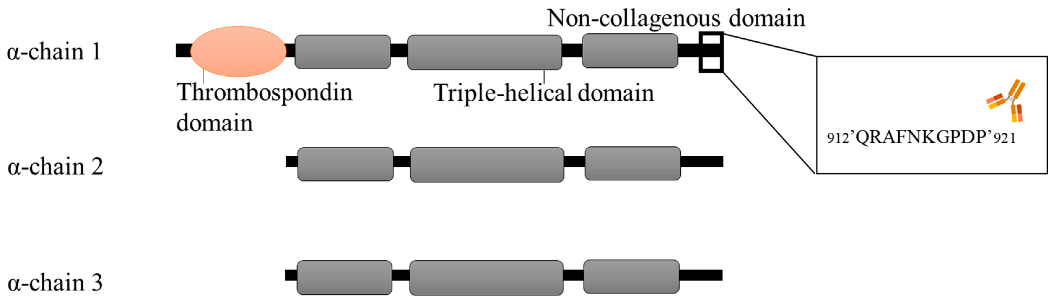 Cancers 16 02035 g001
