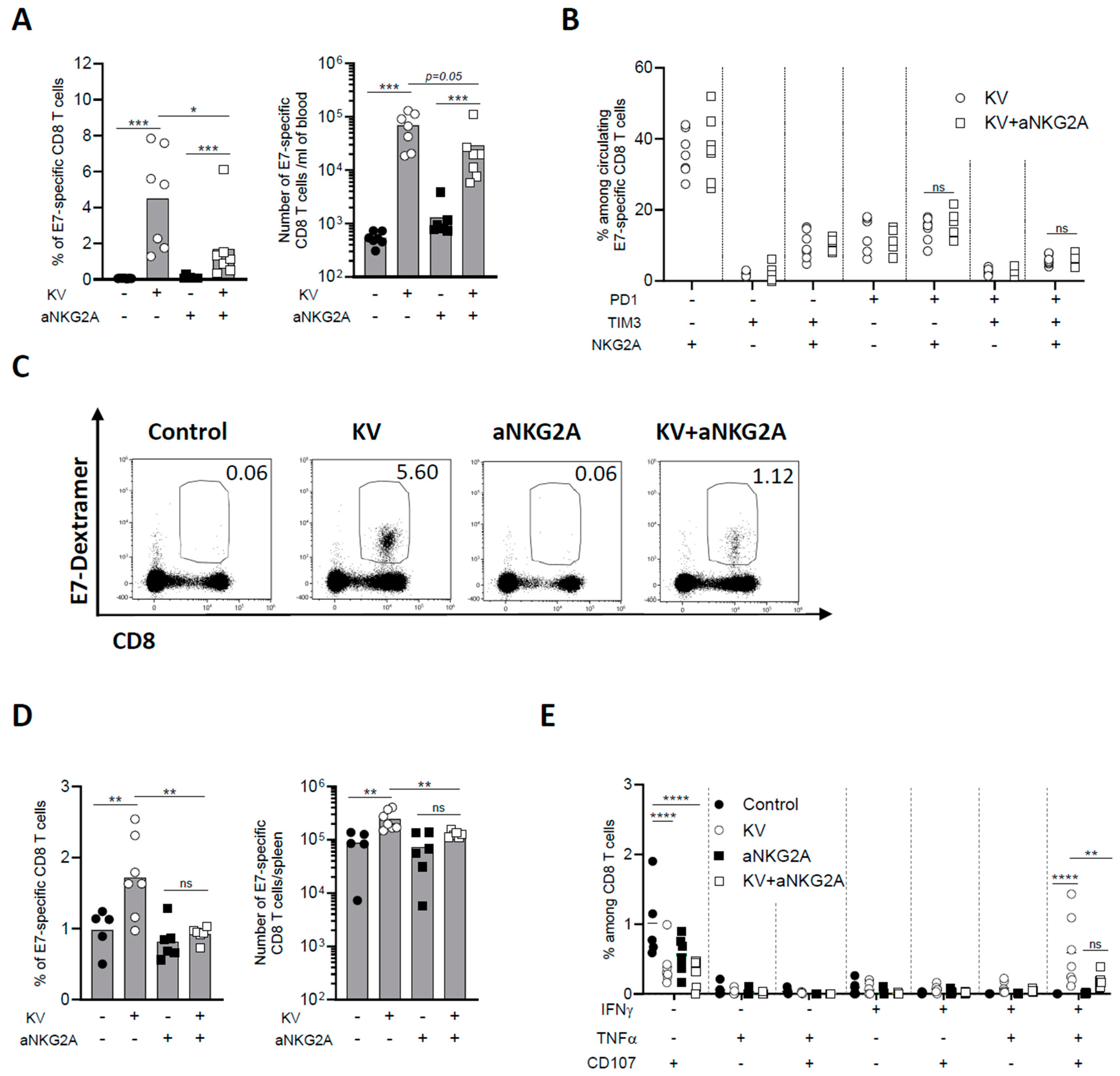 Cancers 16 02036 g003