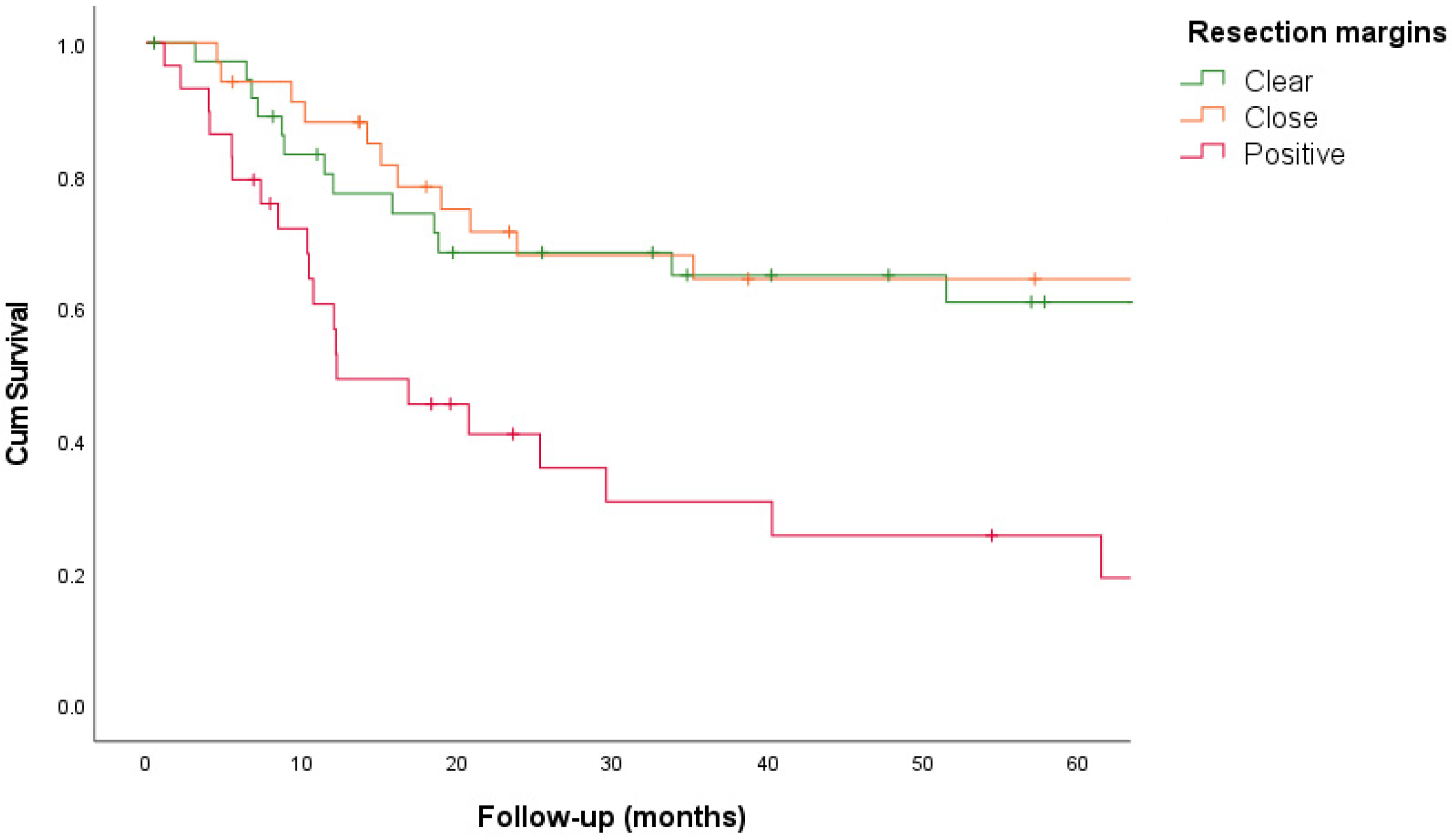Cancers 16 02038 g002