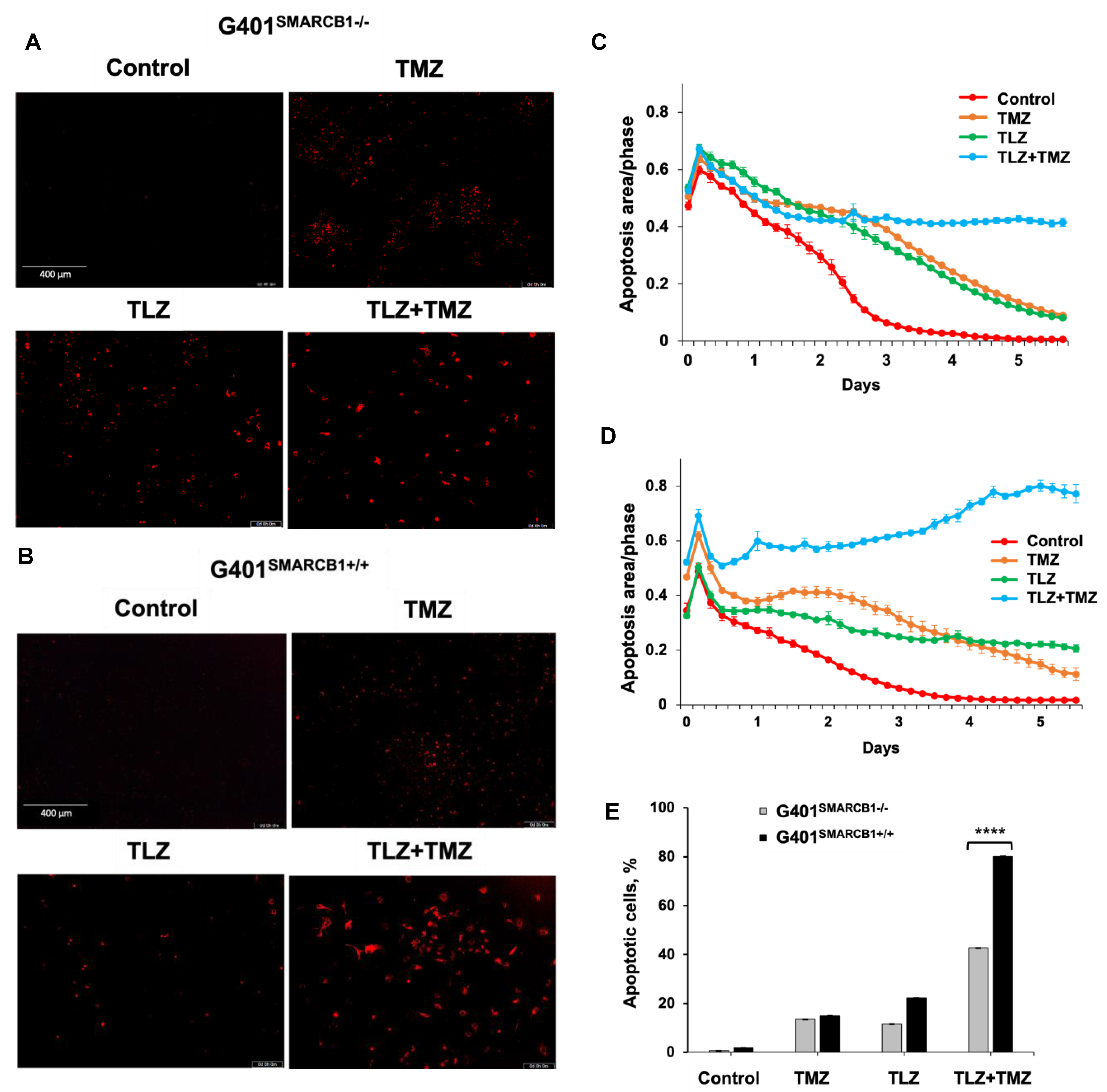 Cancers 16 02041 g004