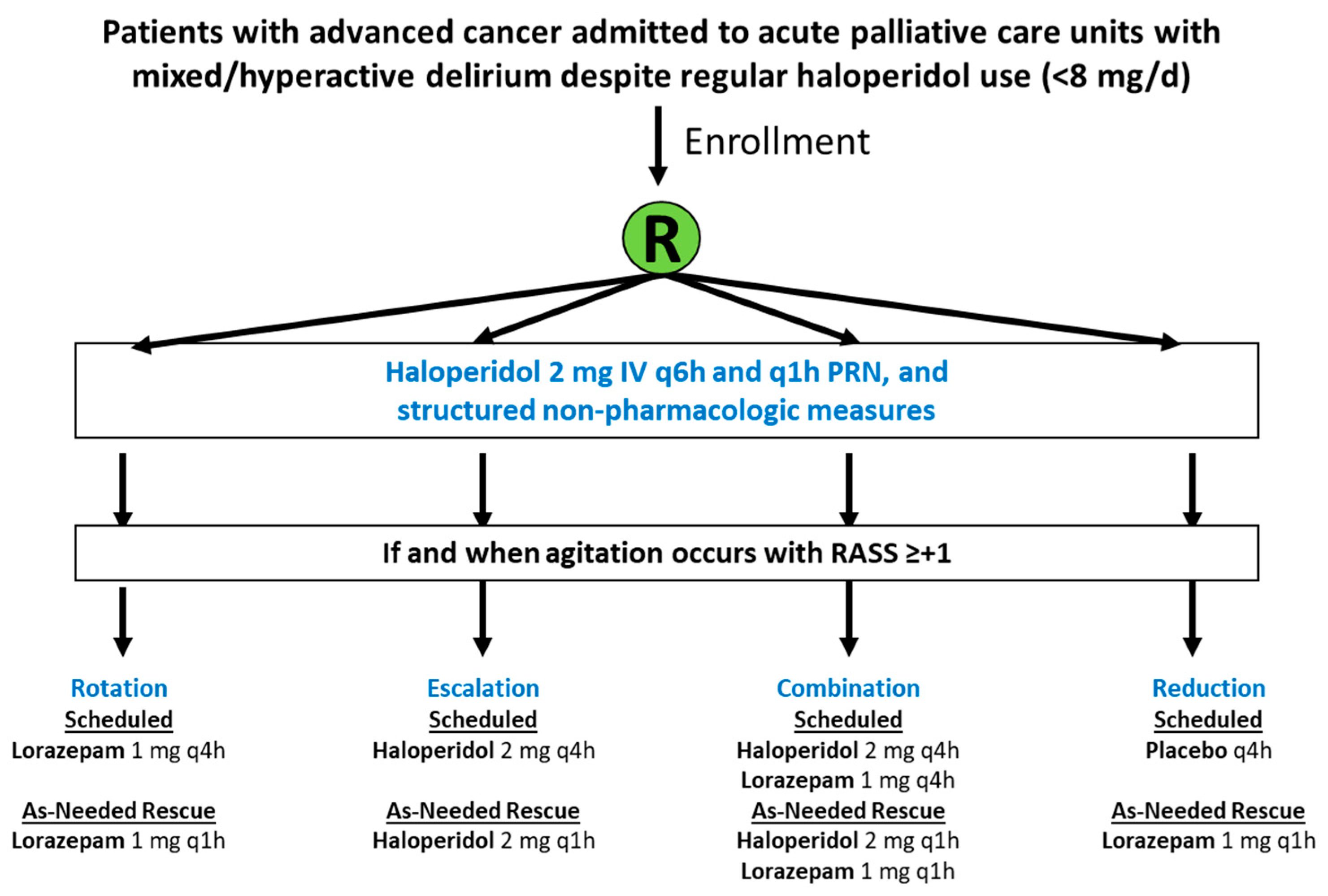 Cancers 16 02045 g001
