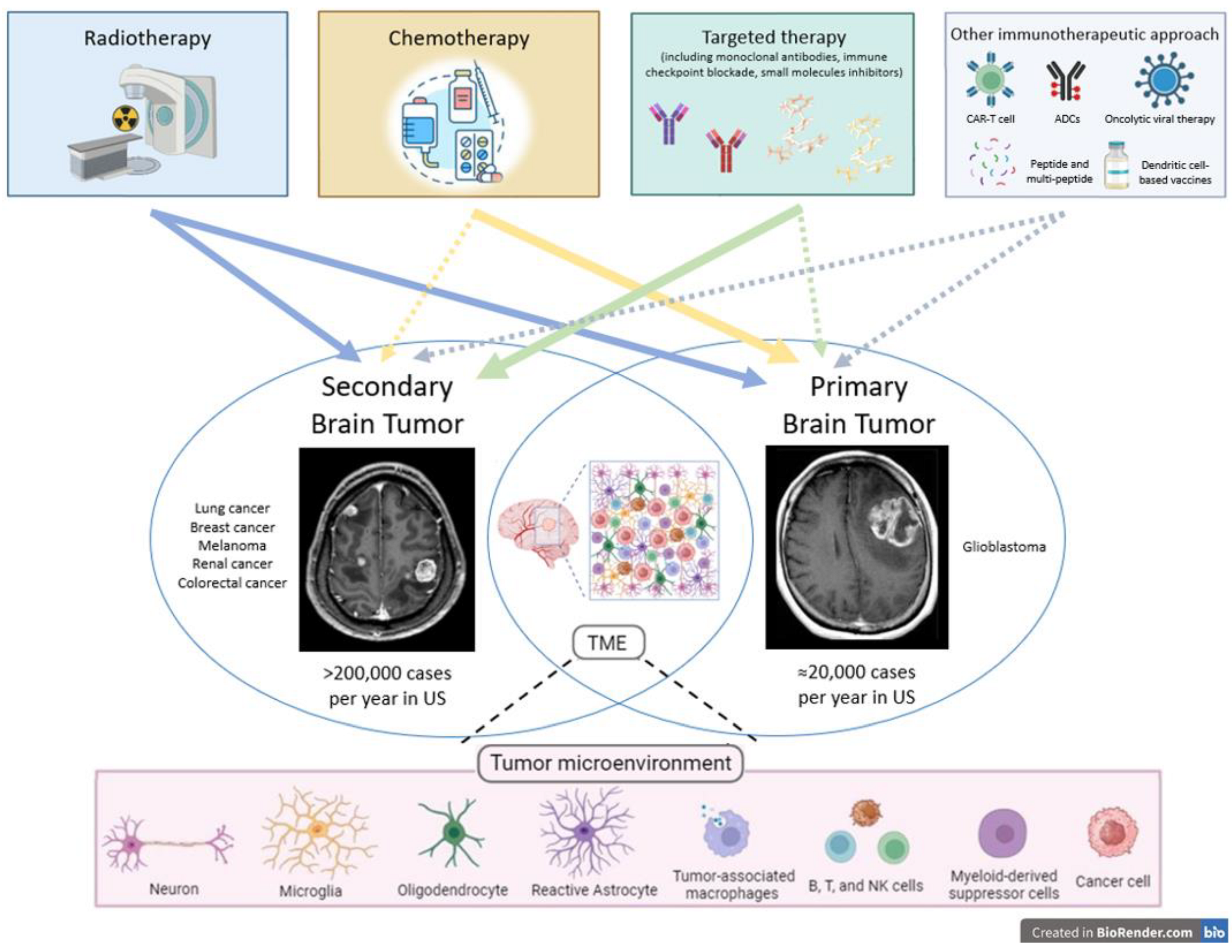 Cancers 16 02047 g001
