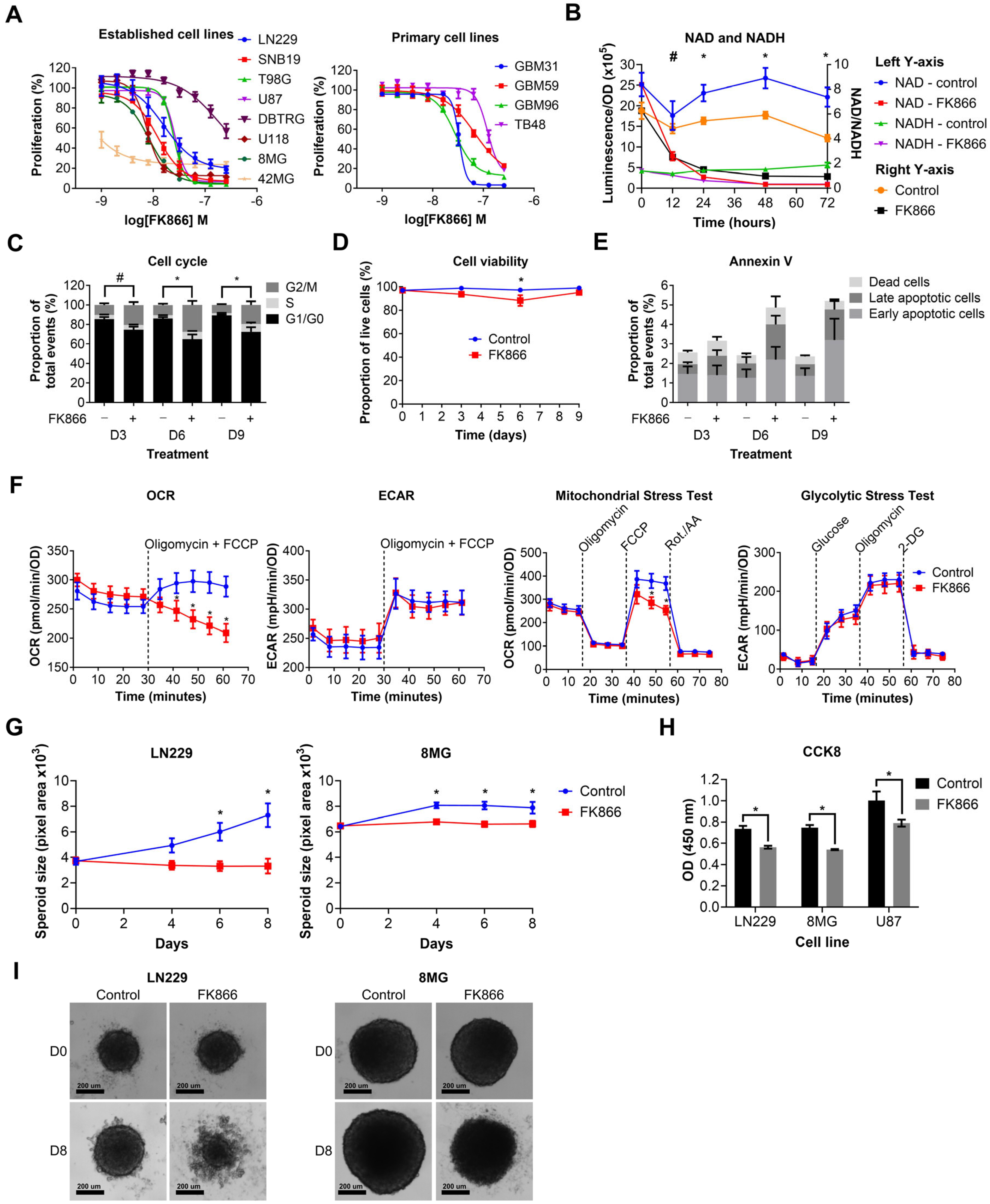 Cancers 16 02054 g002
