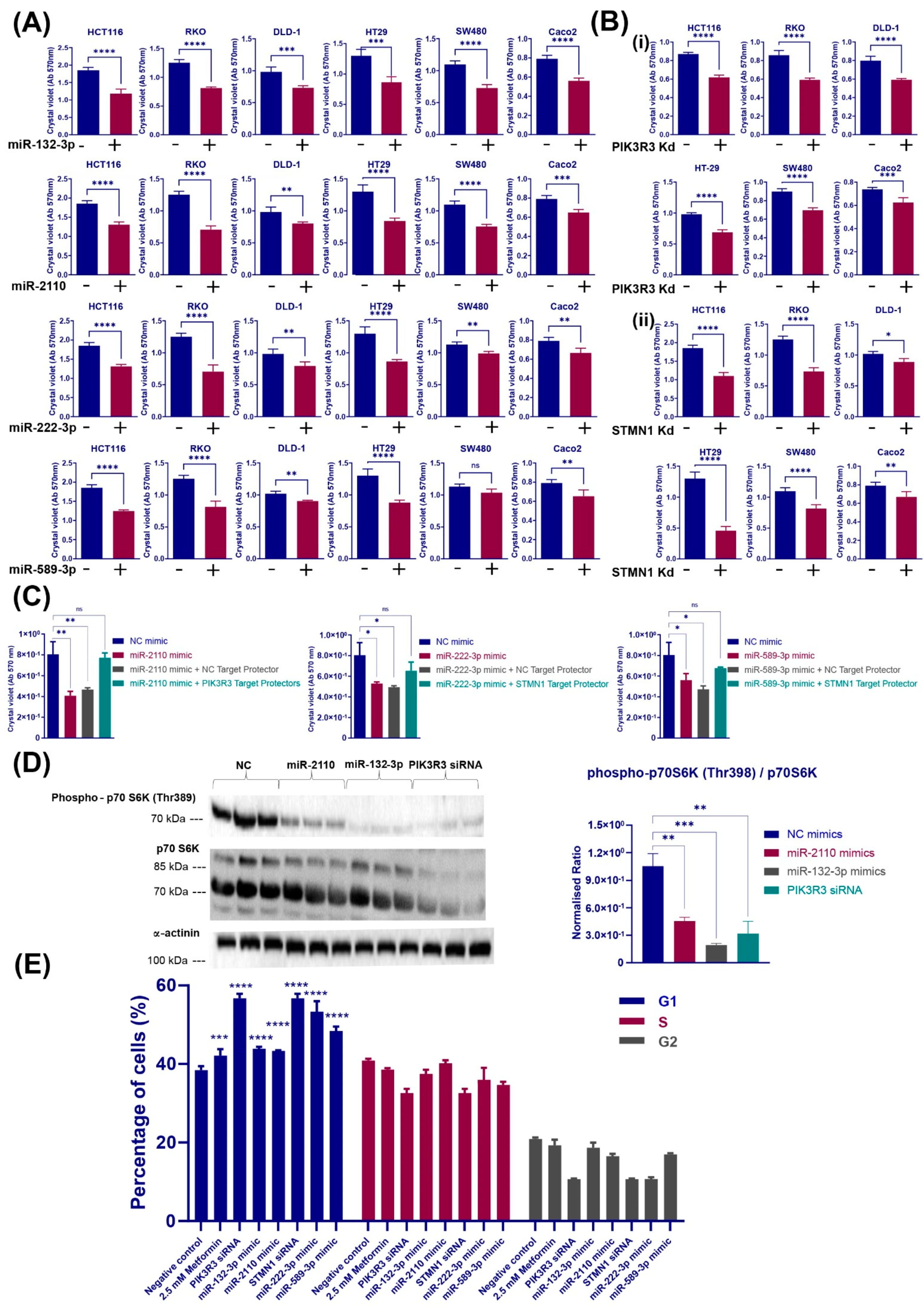 Cancers 16 02055 g004