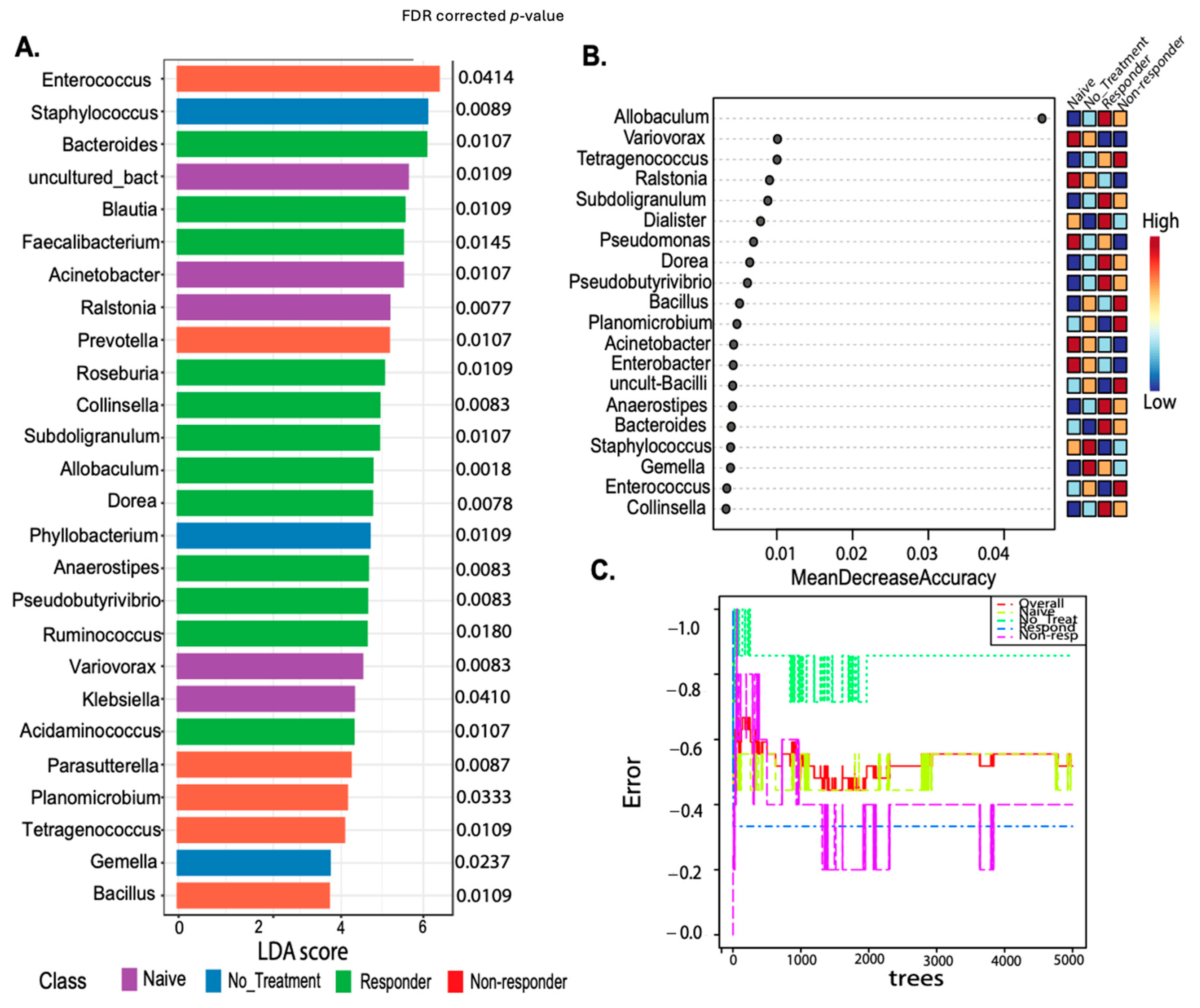 Cancers 16 02065 g005