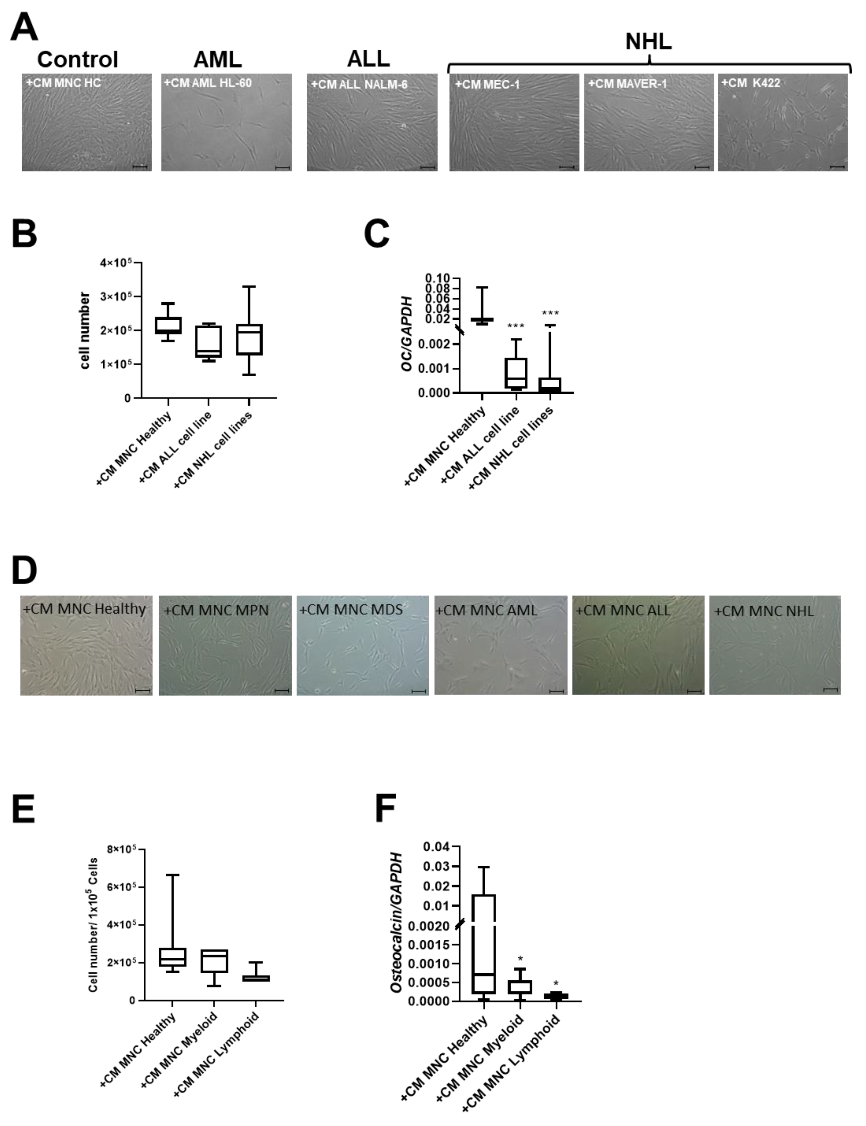 Cancers 16 02071 g004