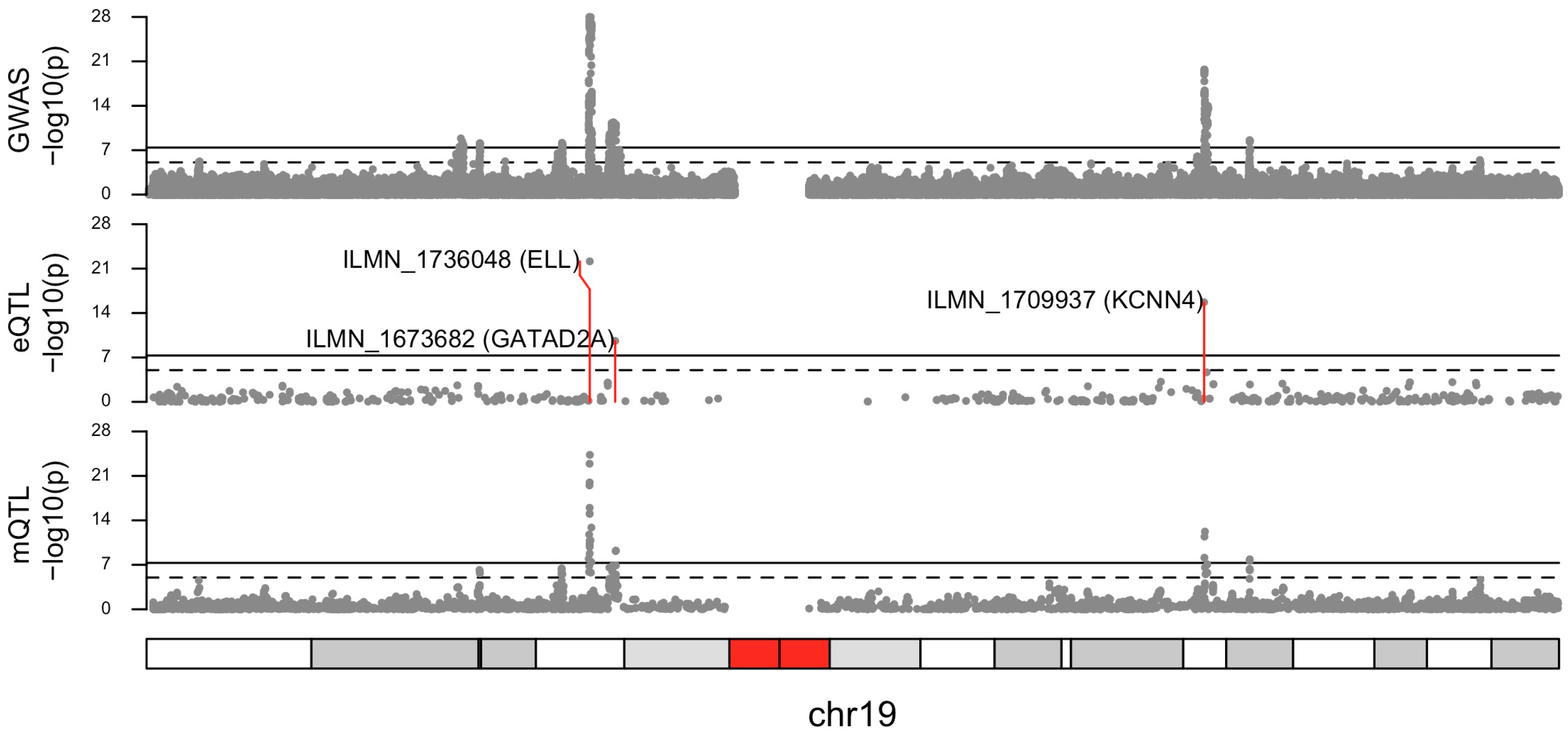 Cancers 16 02072 g001