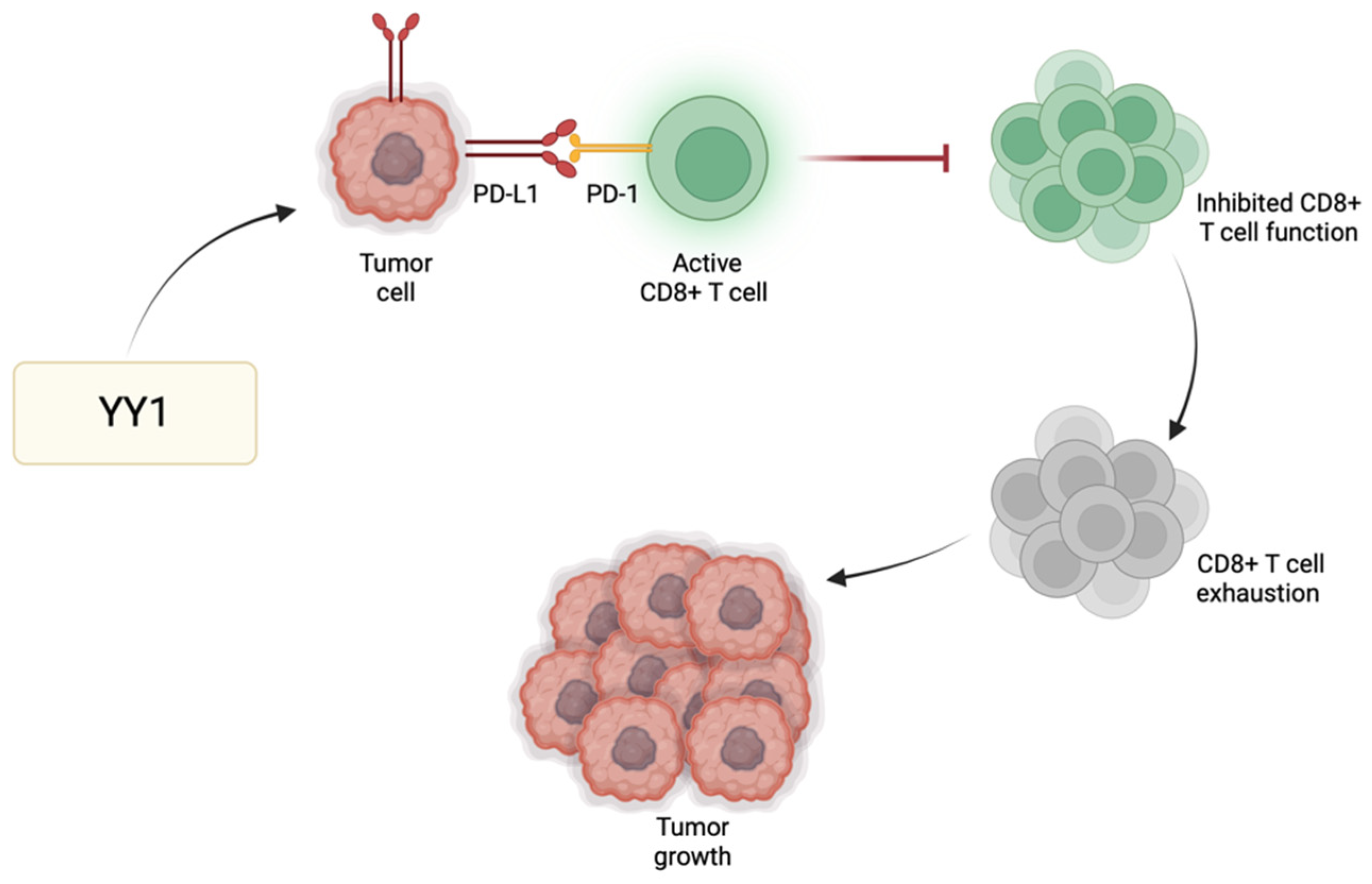 Cancers 16 02074 g002
