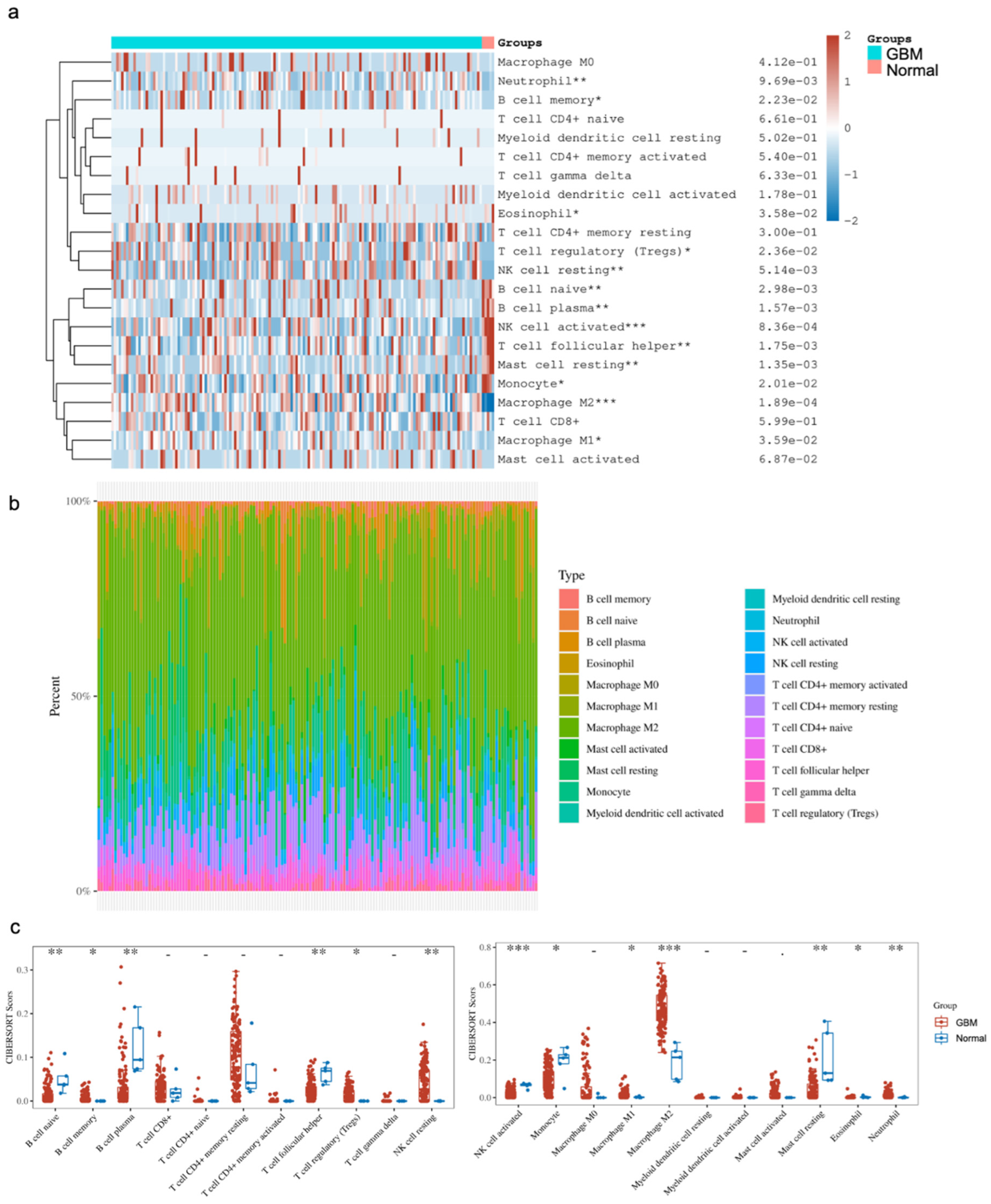 Cancers 16 02074 g003