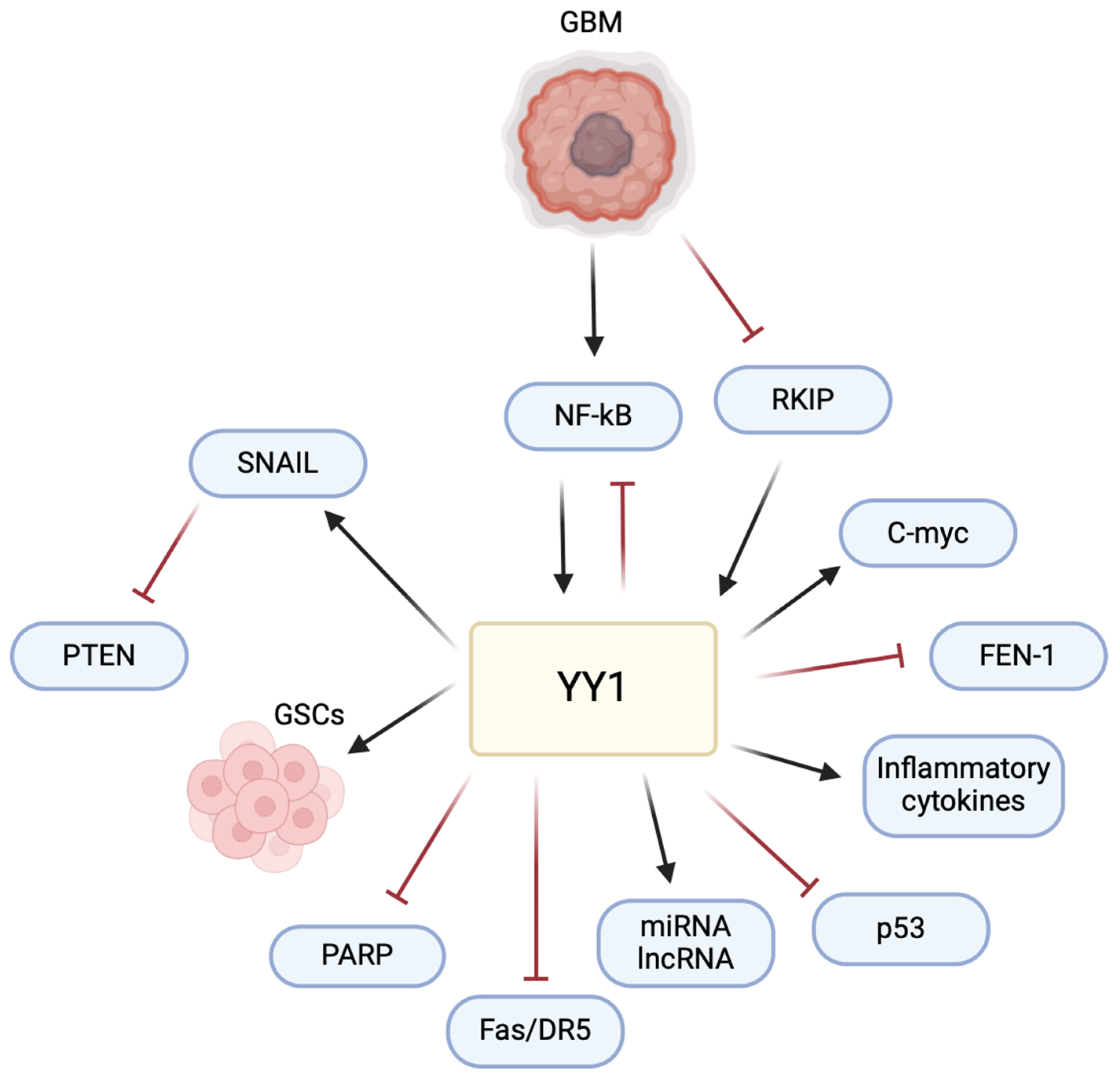 Cancers 16 02074 g006
