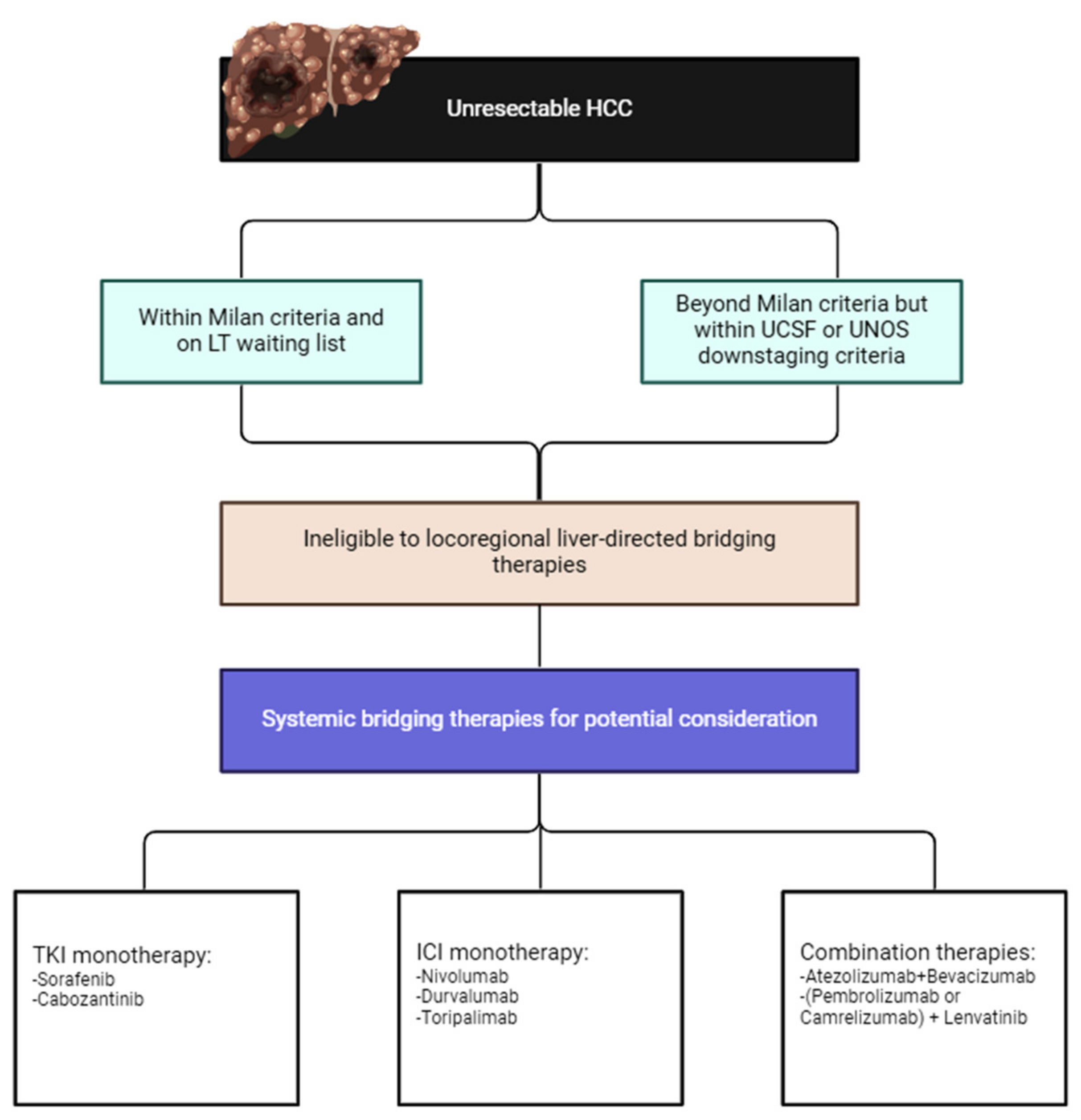 Cancers 16 02081 g001