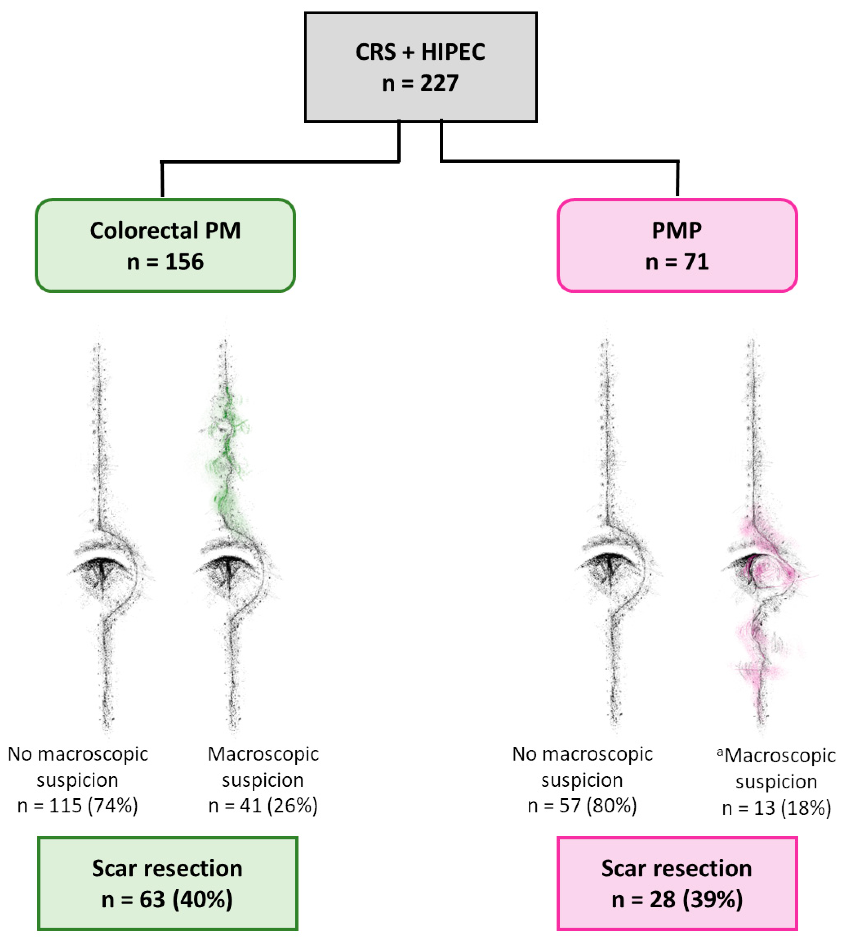 Cancers 16 02099 g001