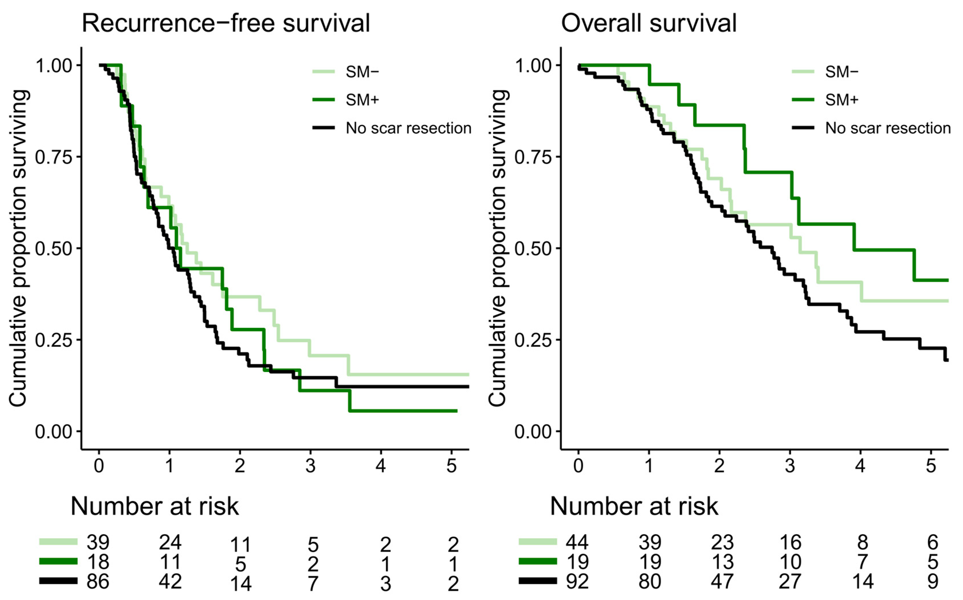Cancers 16 02099 g003