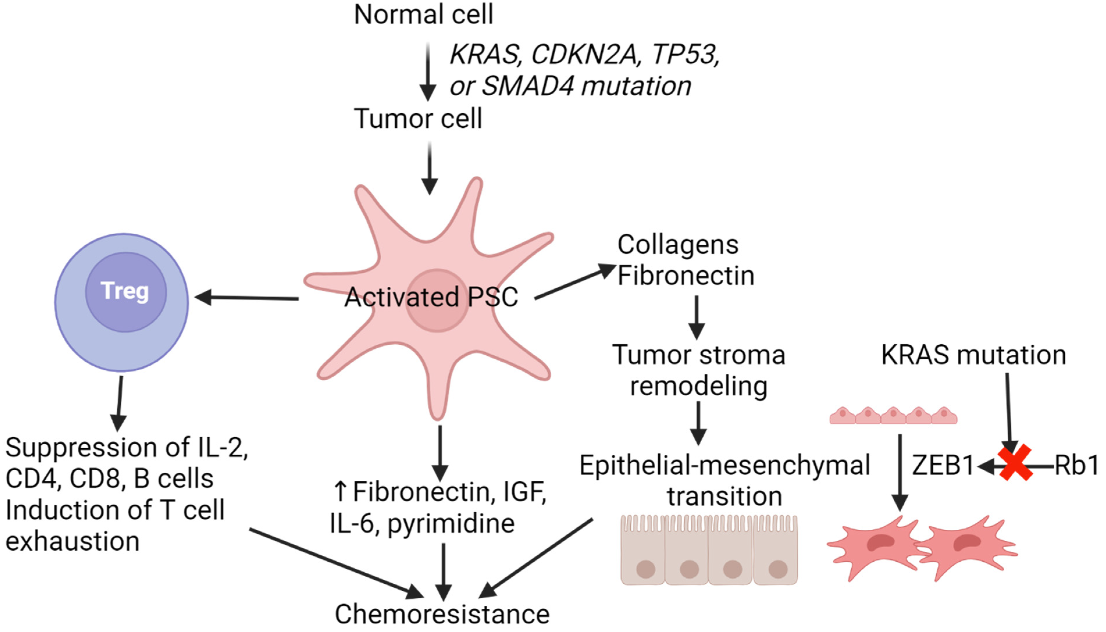 Cancers 16 02101 g001